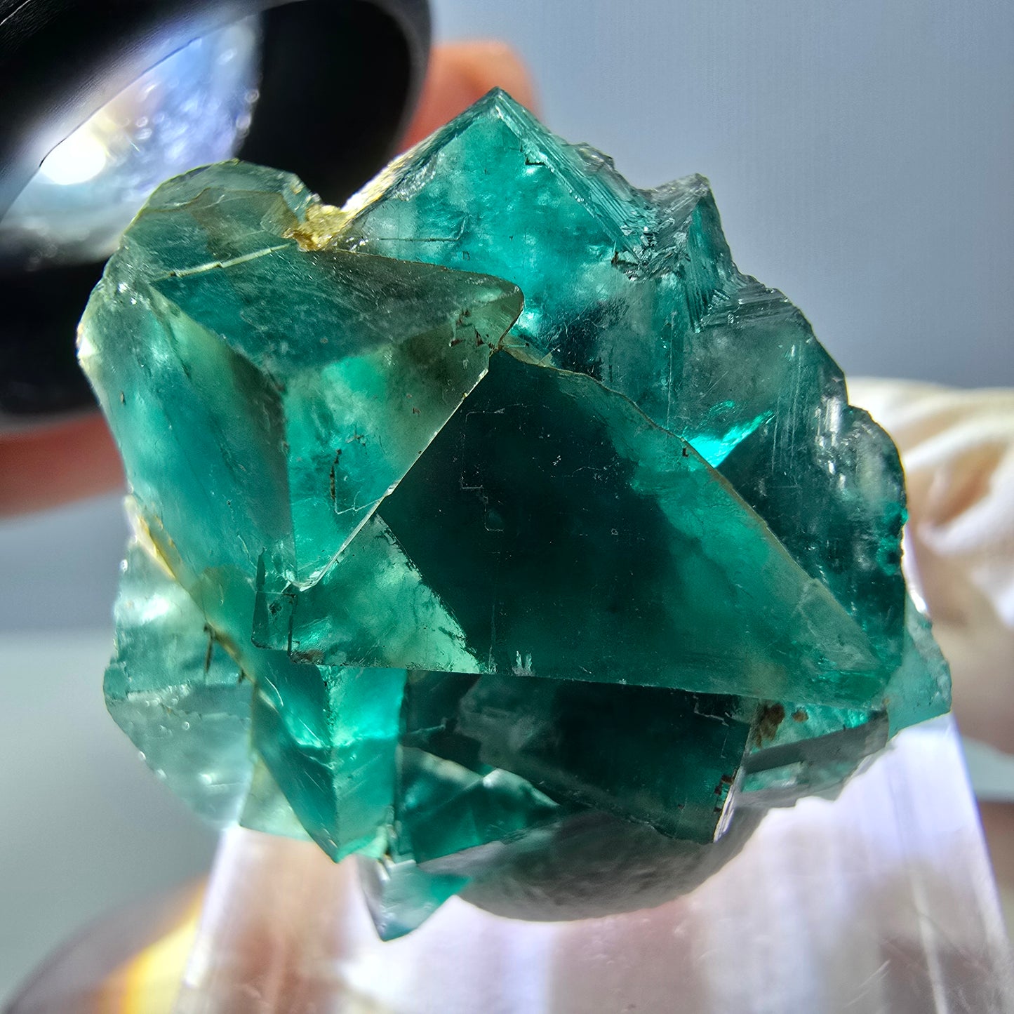 Spécimen de cube de fluorite fantôme, parquet vert Okorusu, Namibie 29*25*15 mm