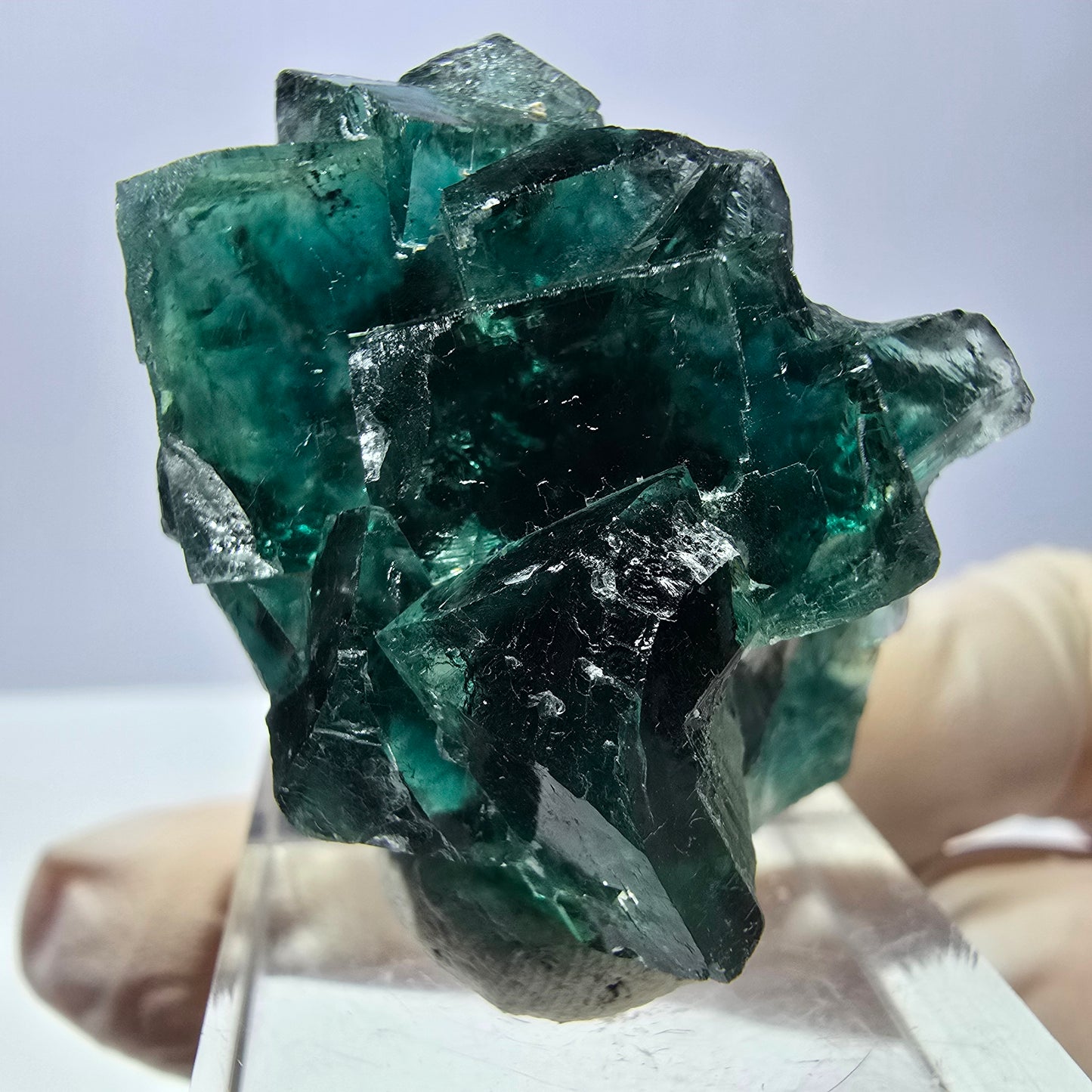 Spécimen de cube de fluorite fantôme, parquet vert Okorusu, Namibie 37 x 29 x 20 mm