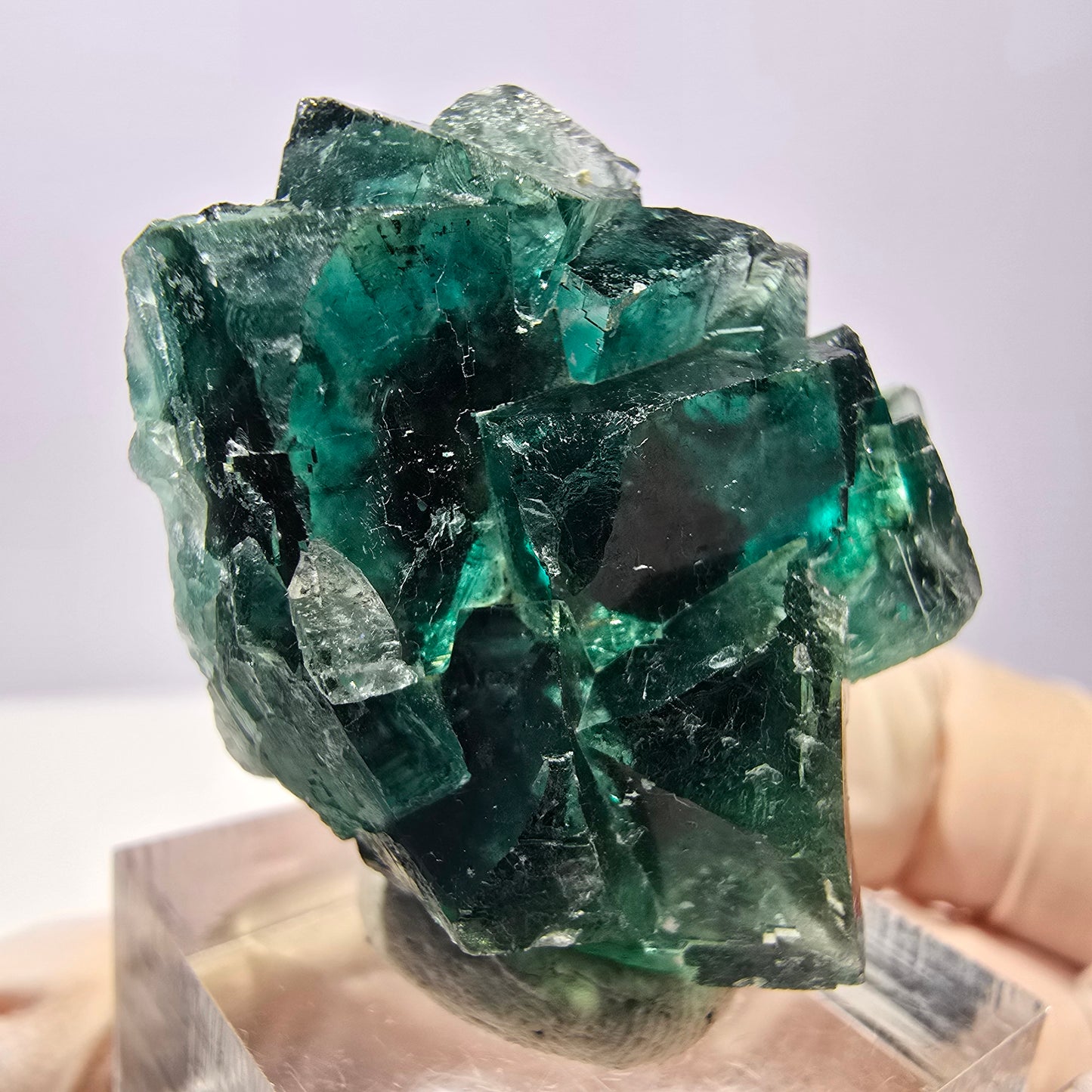 Spécimen de cube de fluorite fantôme, parquet vert Okorusu, Namibie 37 x 29 x 20 mm