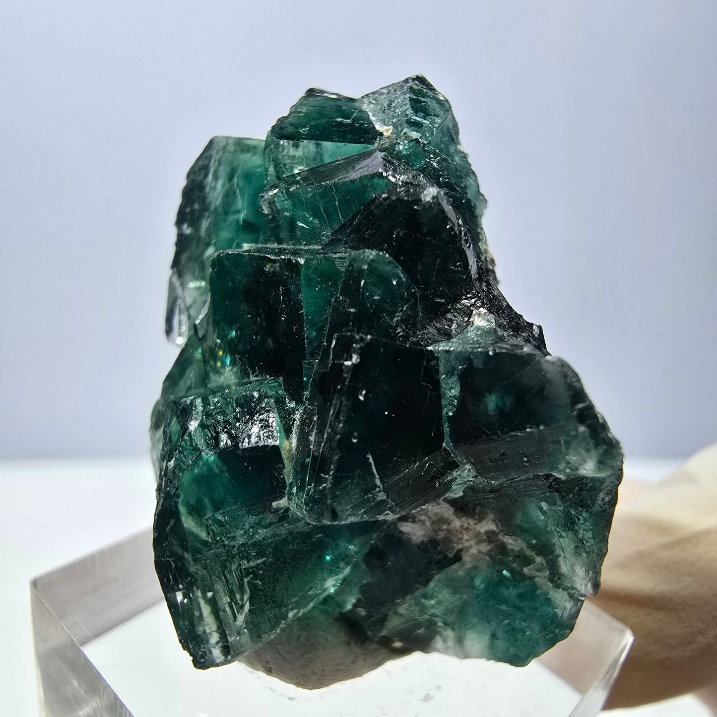 Spécimen de cube de fluorite fantôme, parquet vert Okorusu, Namibie 37 x 29 x 20 mm
