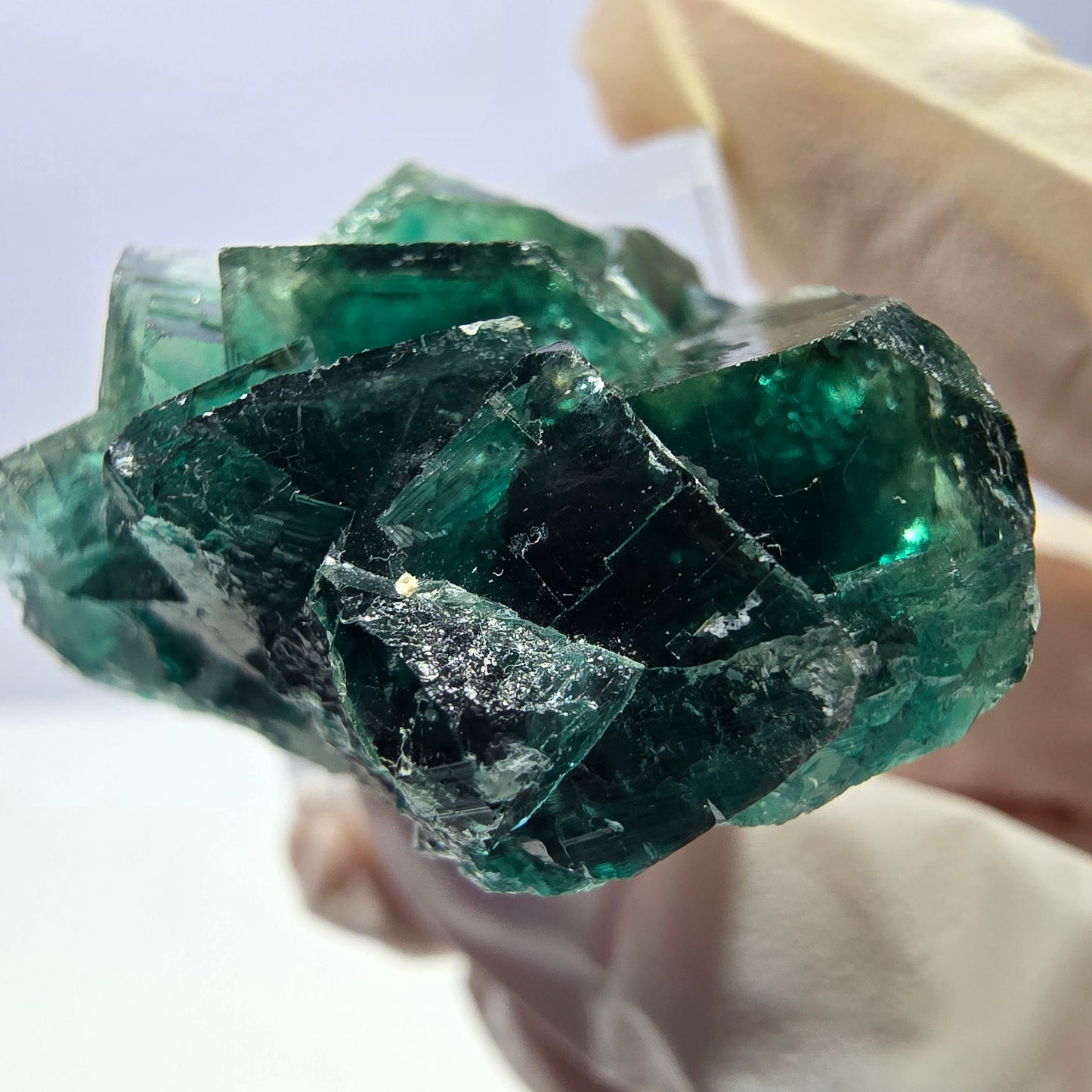 Spécimen de cube de fluorite fantôme, parquet vert Okorusu, Namibie 37 x 29 x 20 mm