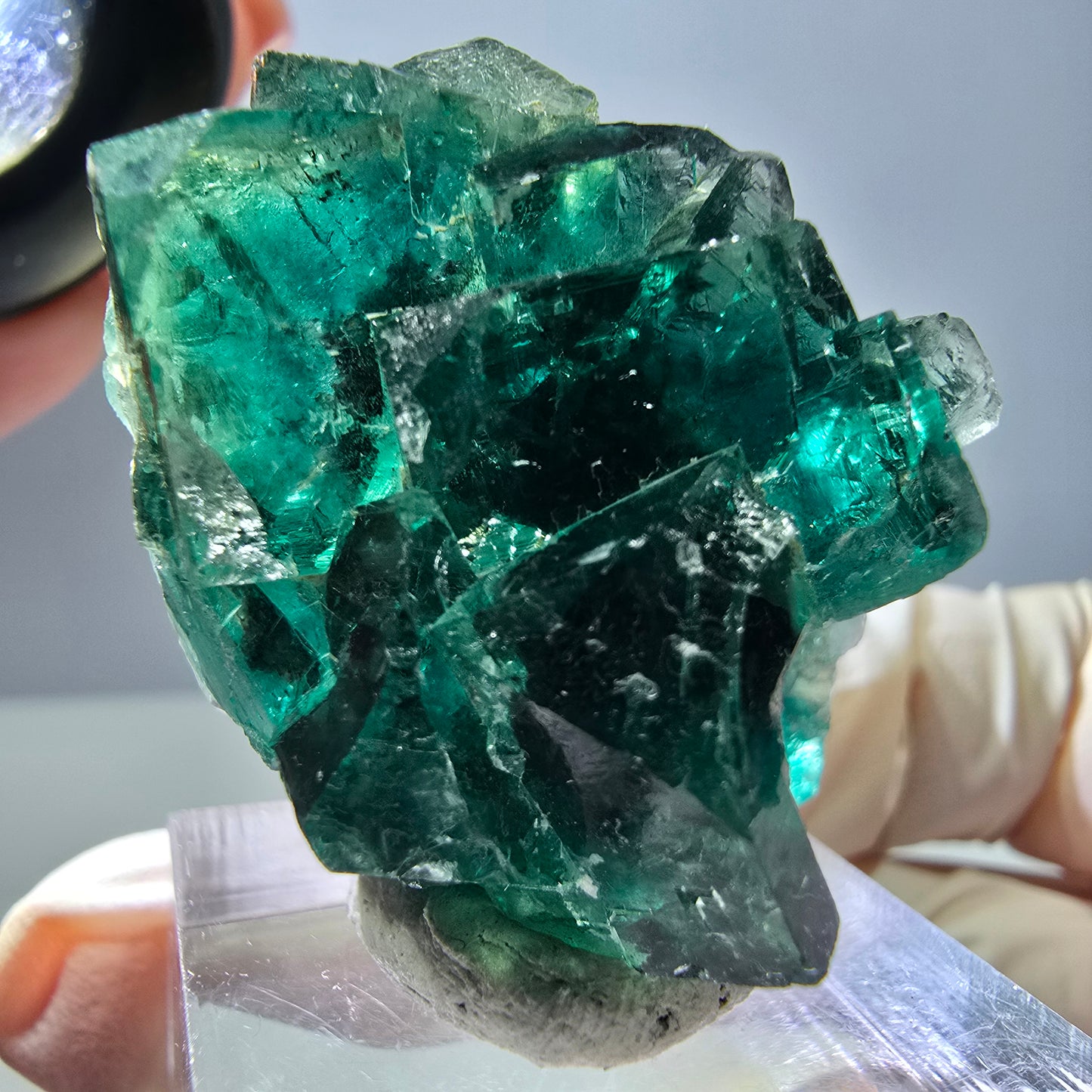 Spécimen de cube de fluorite fantôme, parquet vert Okorusu, Namibie 37 x 29 x 20 mm