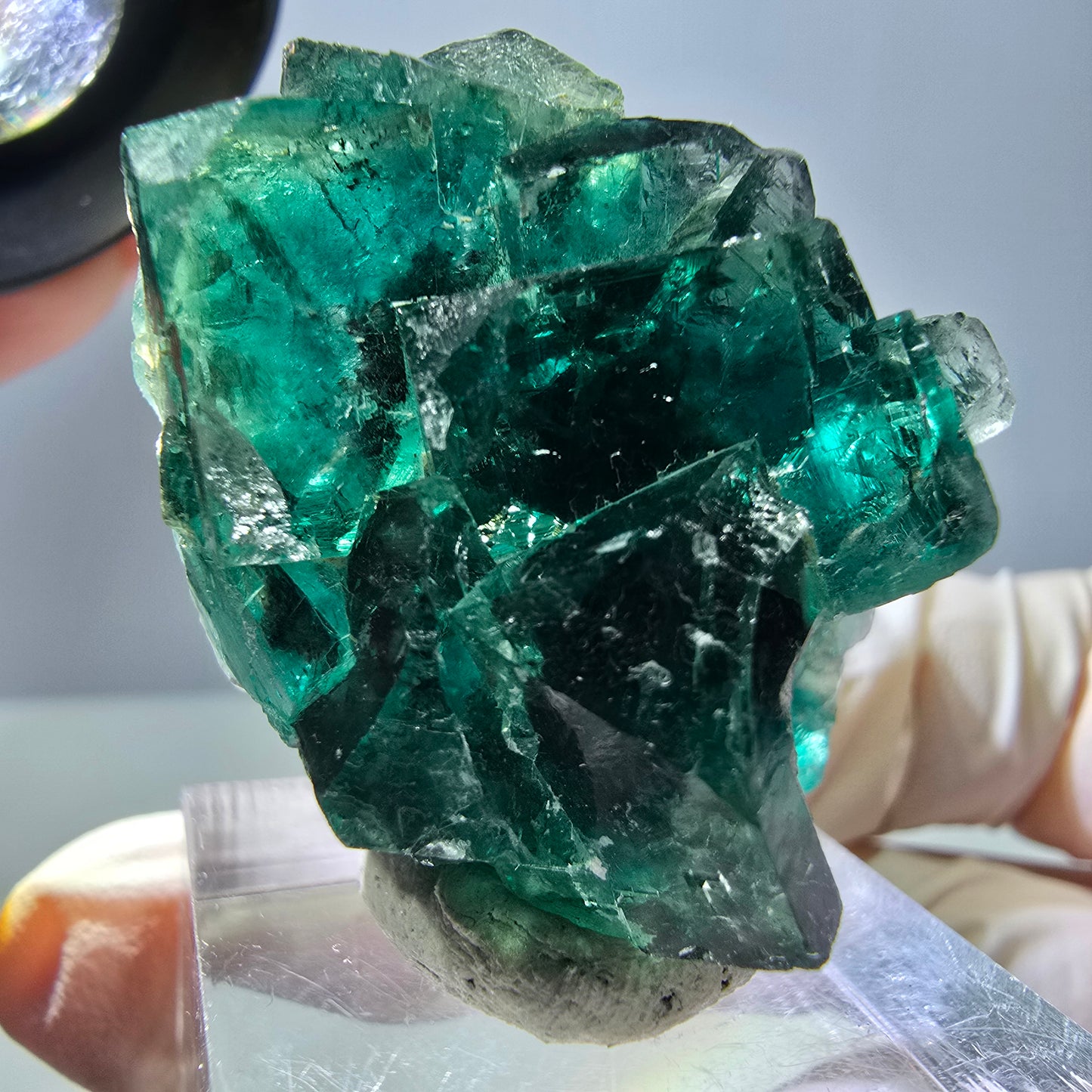 Spécimen de cube de fluorite fantôme, parquet vert Okorusu, Namibie 37 x 29 x 20 mm