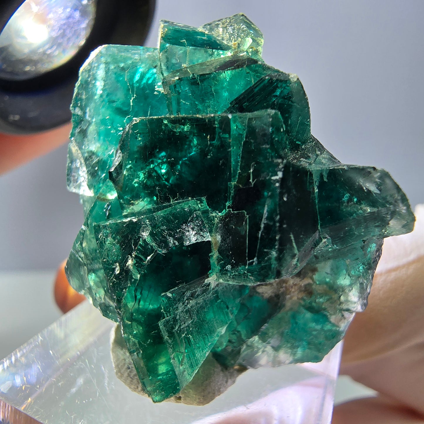 Spécimen de cube de fluorite fantôme, parquet vert Okorusu, Namibie 37 x 29 x 20 mm