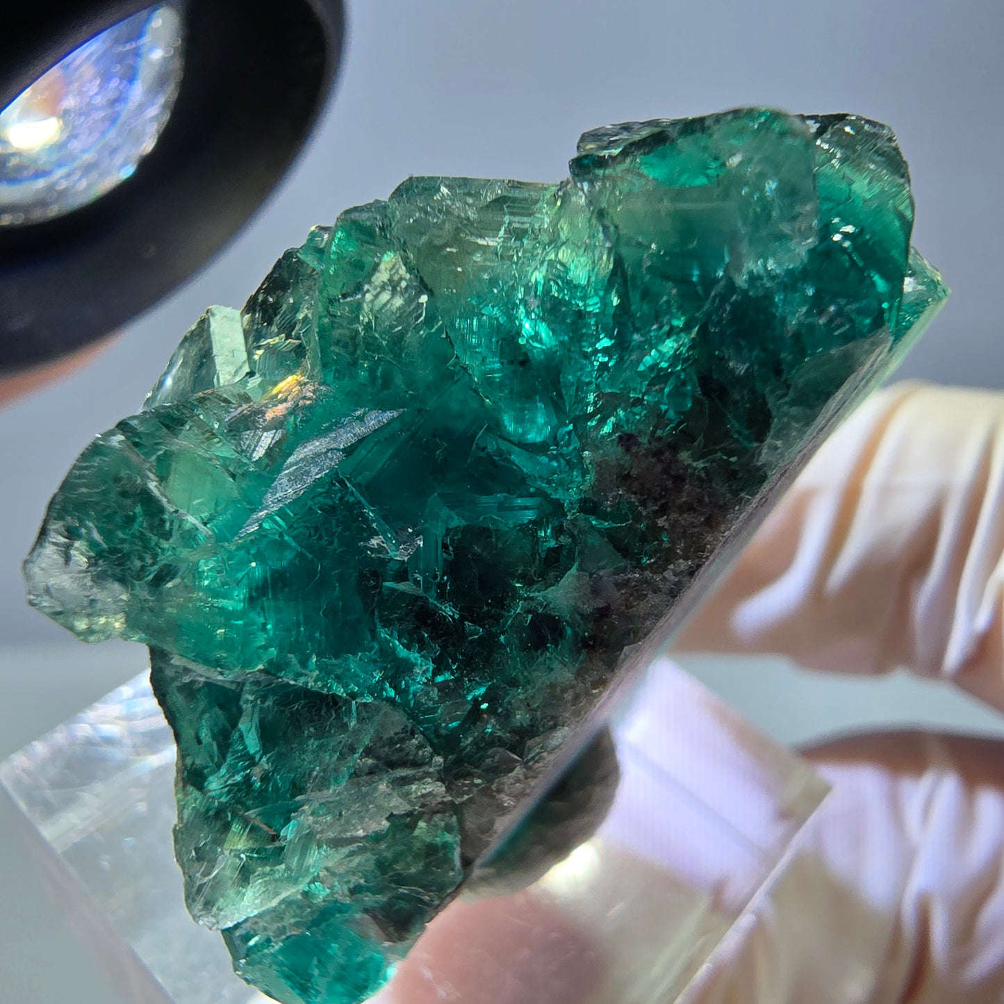 Spécimen de cube de fluorite fantôme, parquet vert Okorusu, Namibie 37 x 29 x 20 mm