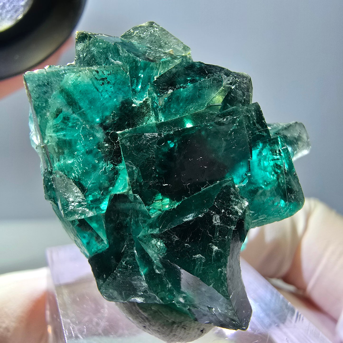 Spécimen de cube de fluorite fantôme, parquet vert Okorusu, Namibie 37 x 29 x 20 mm