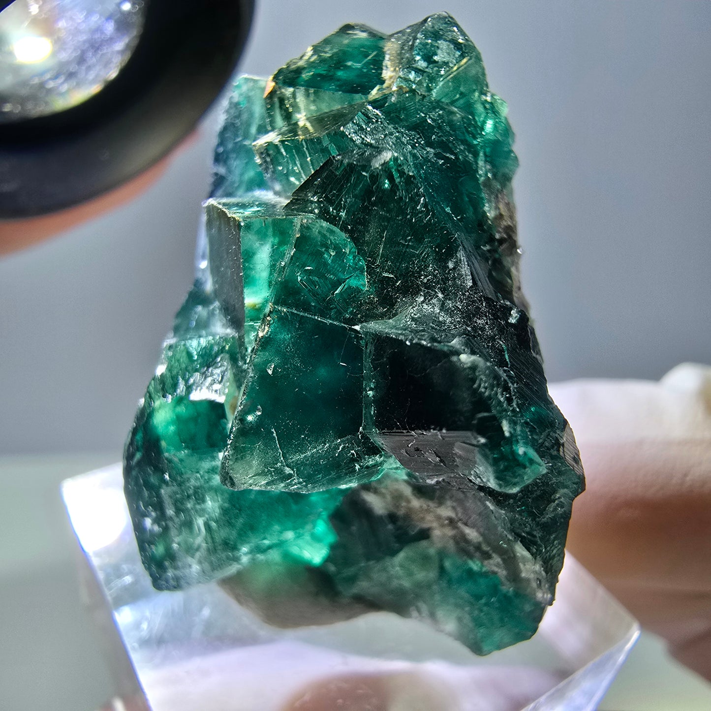 Spécimen de cube de fluorite fantôme, parquet vert Okorusu, Namibie 37 x 29 x 20 mm