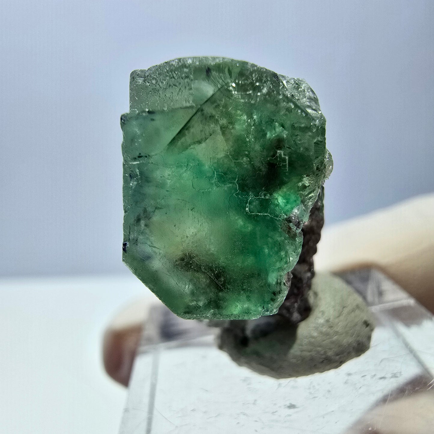 Phantom Fluorit Würfel Stufe, grün parkettiert Okorusu, Namibia 27*21*15mm