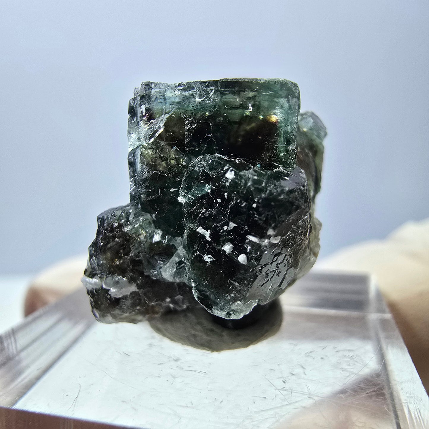 Phantom Fluorit Würfel Stufe, grün parkettiert Okorusu, Namibia 21*16*13mm