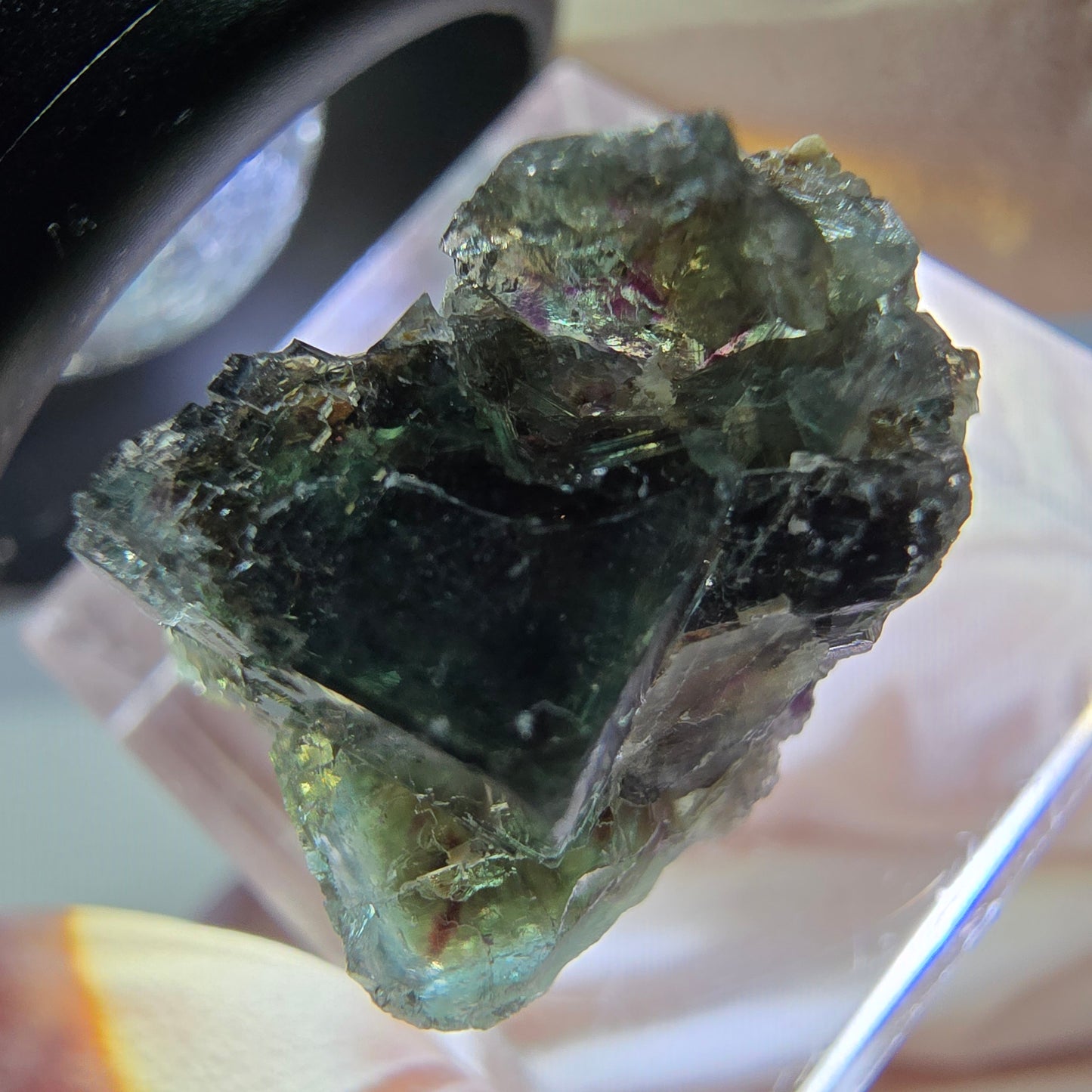 Phantom Fluorit Würfel Stufe, grün parkettiert Okorusu, Namibia 21*16*13mm