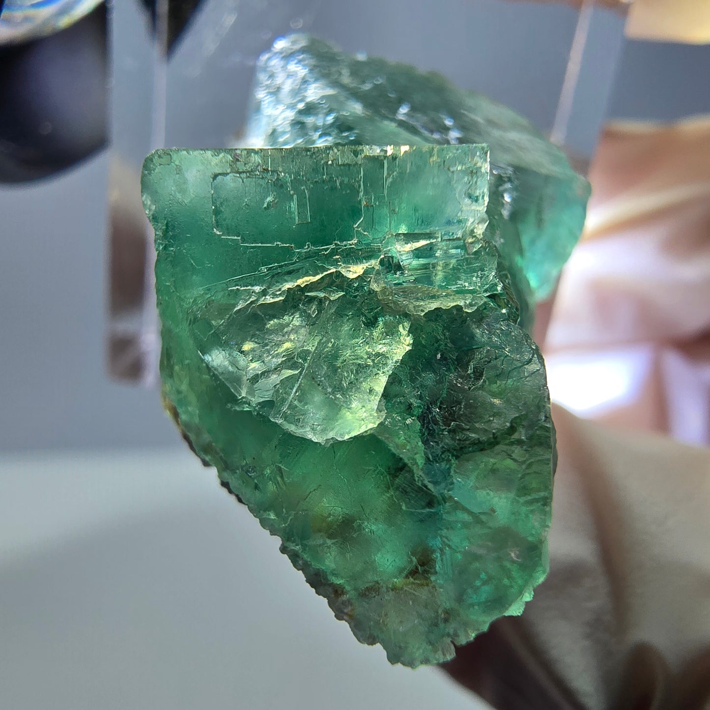 Phantom Fluorit Würfel Stufe, grün parkettiert Okorusu, Namibia 30*20*13mm