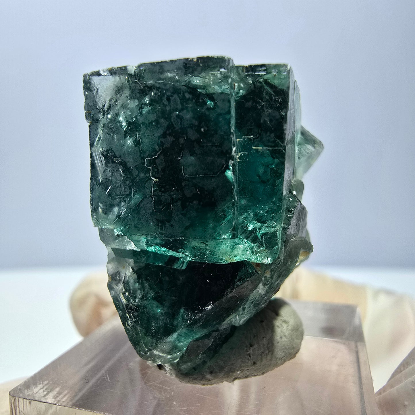 Spécimen de cube de fluorite fantôme, parquet vert Okorusu, Namibie 27 x 25 x 17 mm