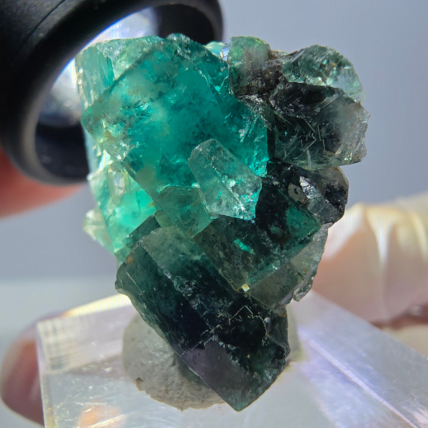 Spécimen de cube de fluorite fantôme, parquet vert Okorusu, Namibie 27 x 25 x 17 mm