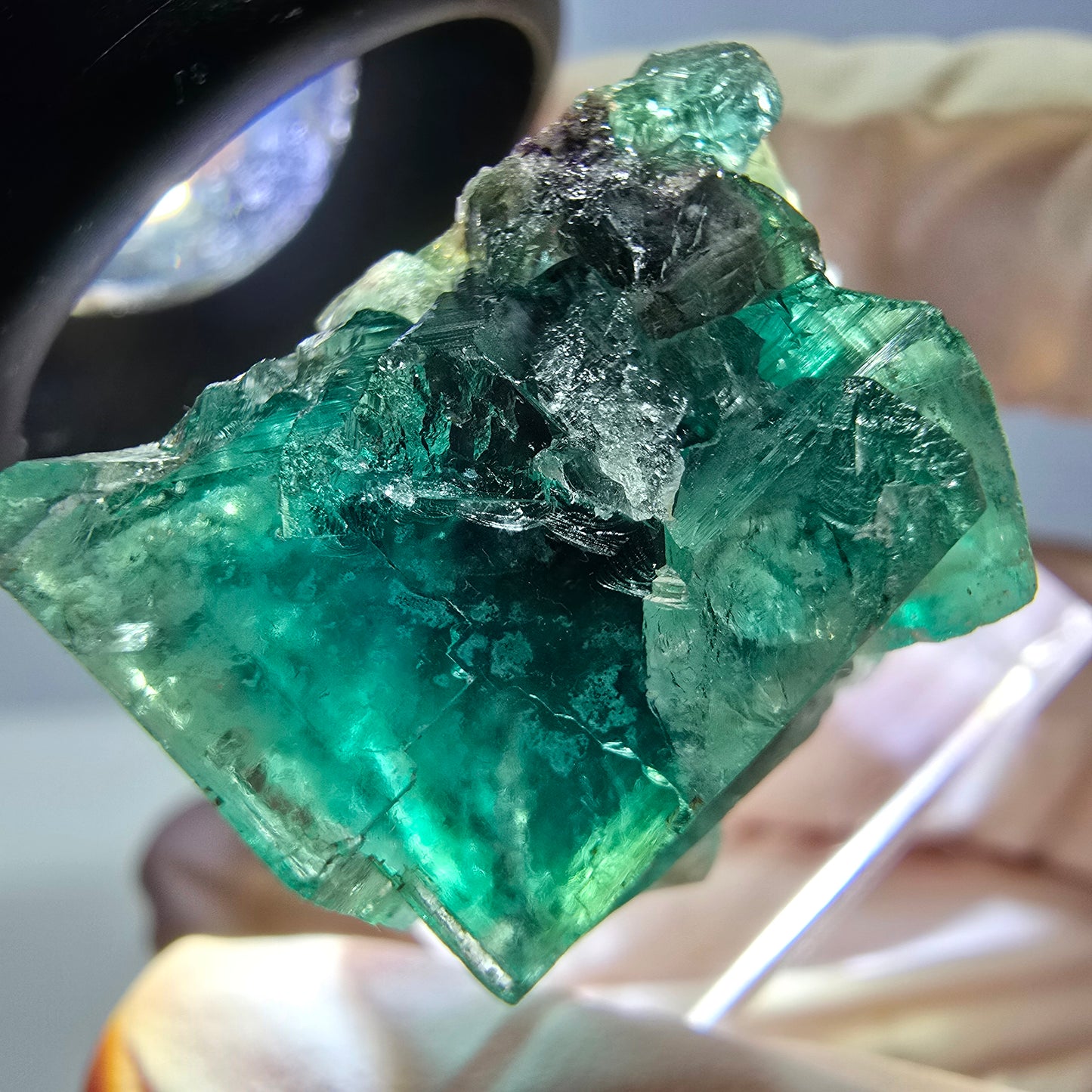 Spécimen de cube de fluorite fantôme, parquet vert Okorusu, Namibie 27 x 25 x 17 mm
