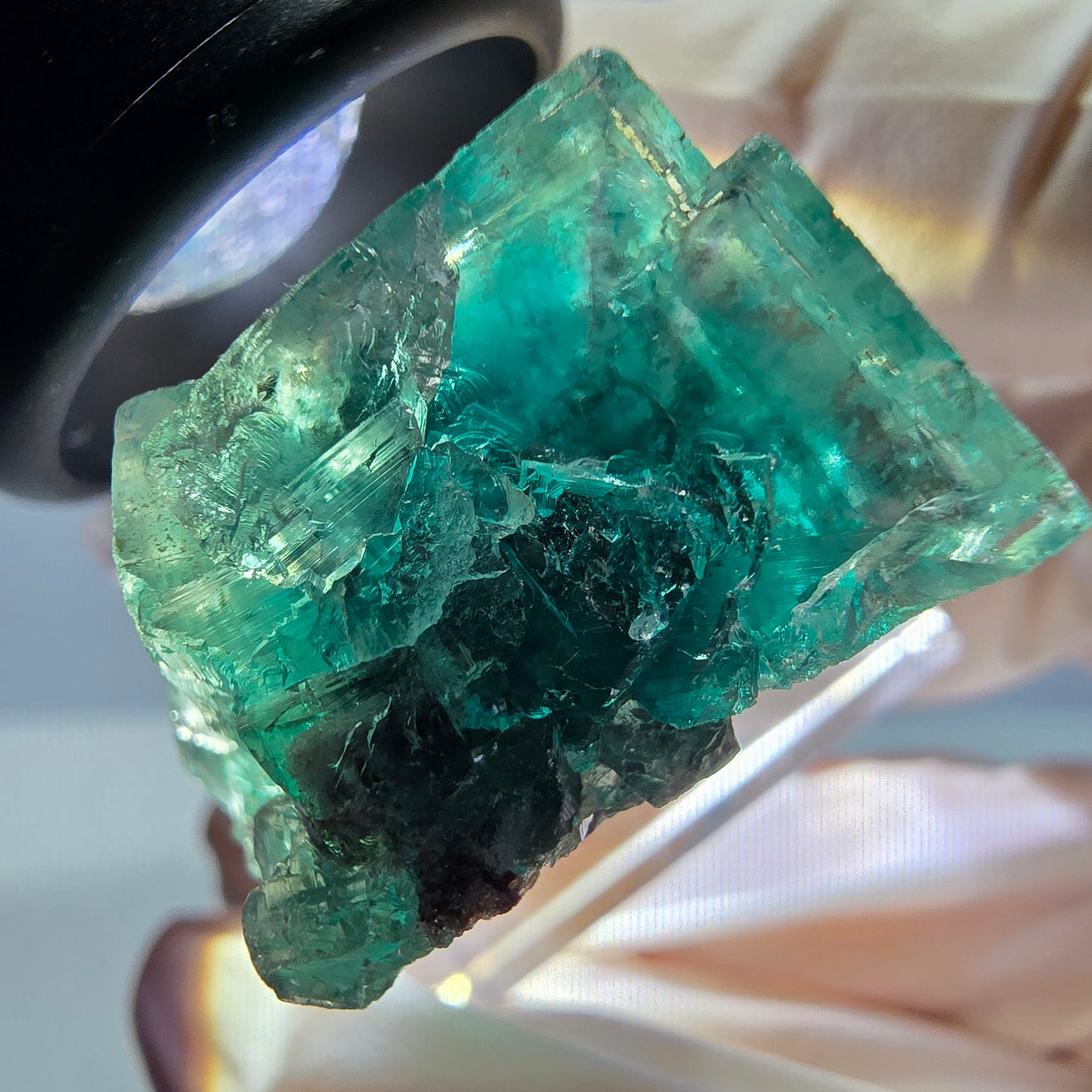 Spécimen de cube de fluorite fantôme, parquet vert Okorusu, Namibie 27 x 25 x 17 mm