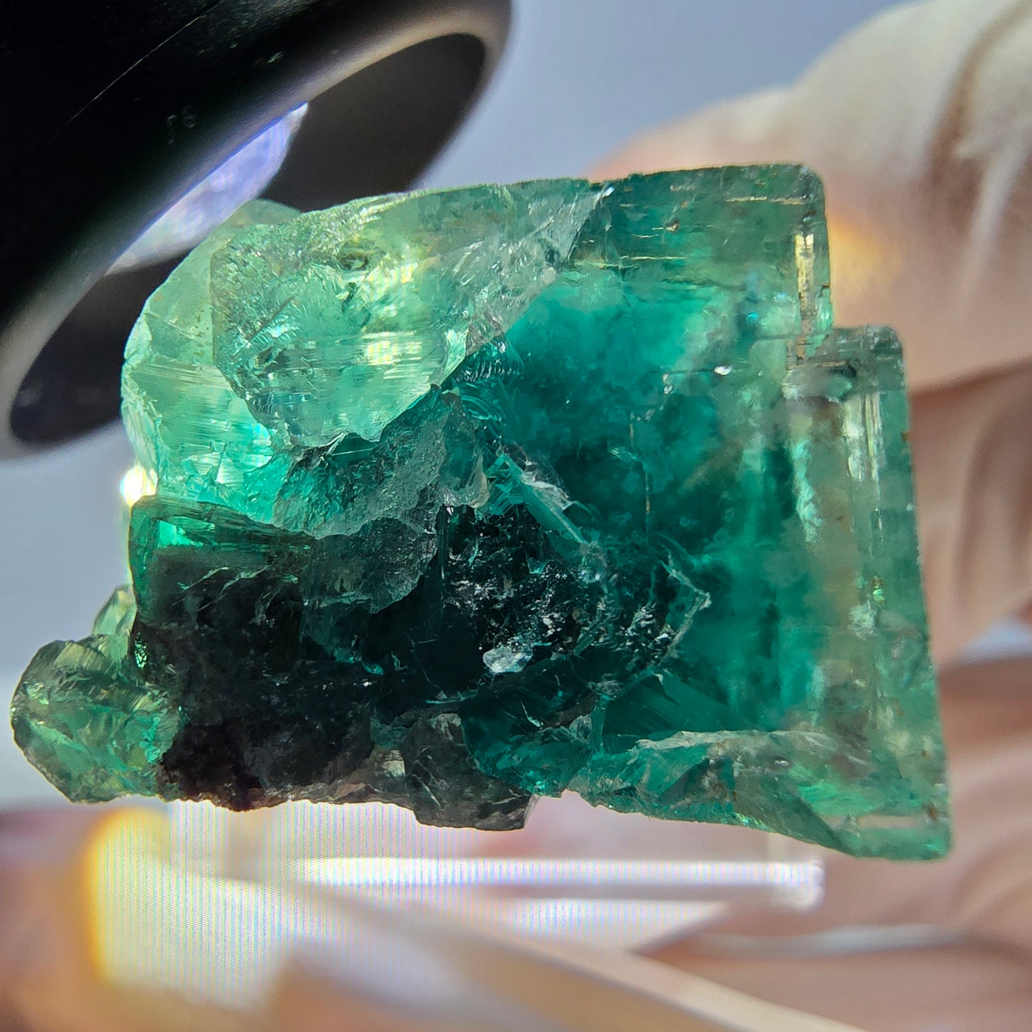 Spécimen de cube de fluorite fantôme, parquet vert Okorusu, Namibie 27 x 25 x 17 mm