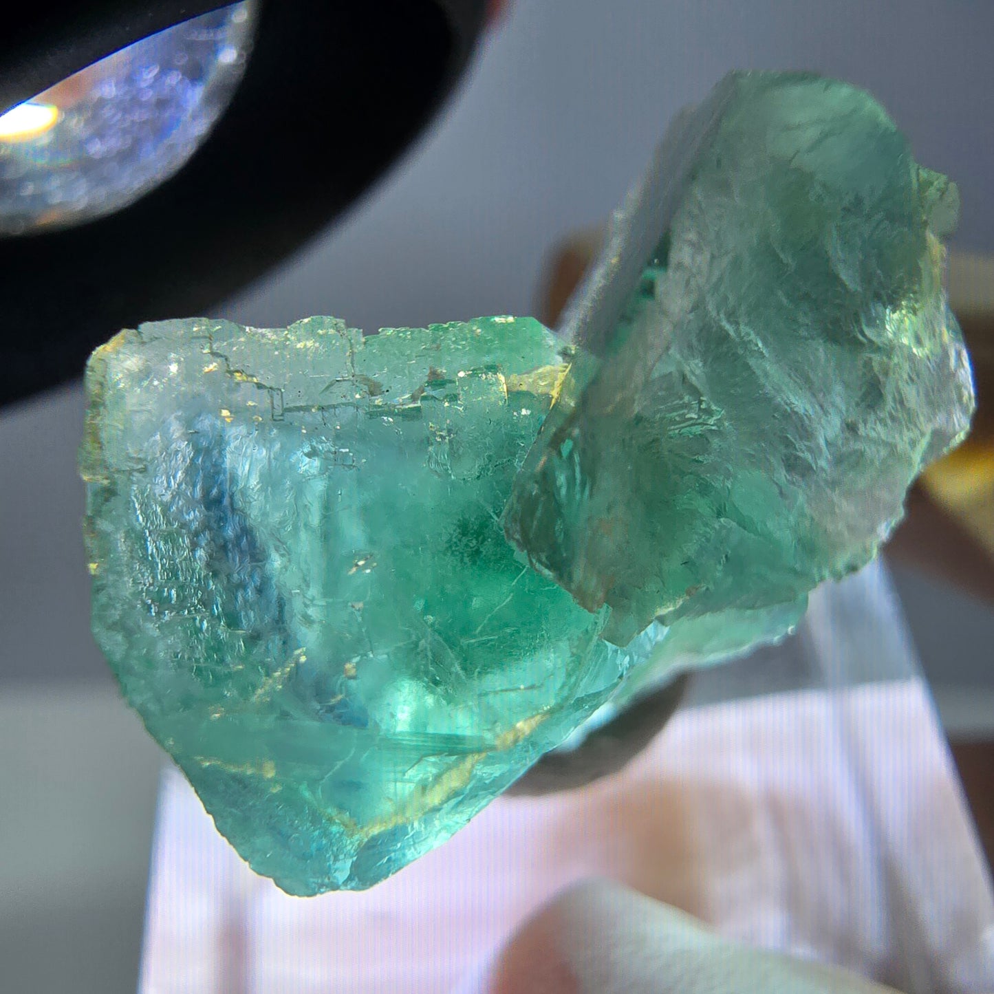 Phantom Fluorit Würfel Stufe, grün parkettiert Okorusu, Namibia 24*23*13mm