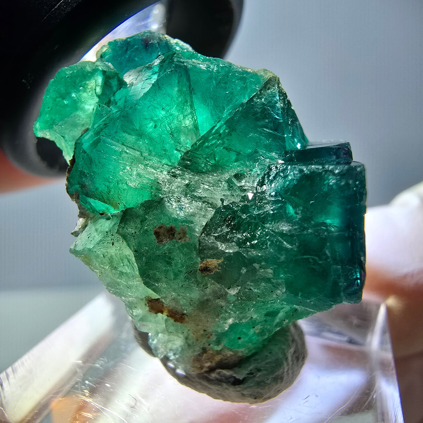 Phantom Fluorit Würfel Stufe, grün parkettiert Okorusu, Namibia 27*27*17mm