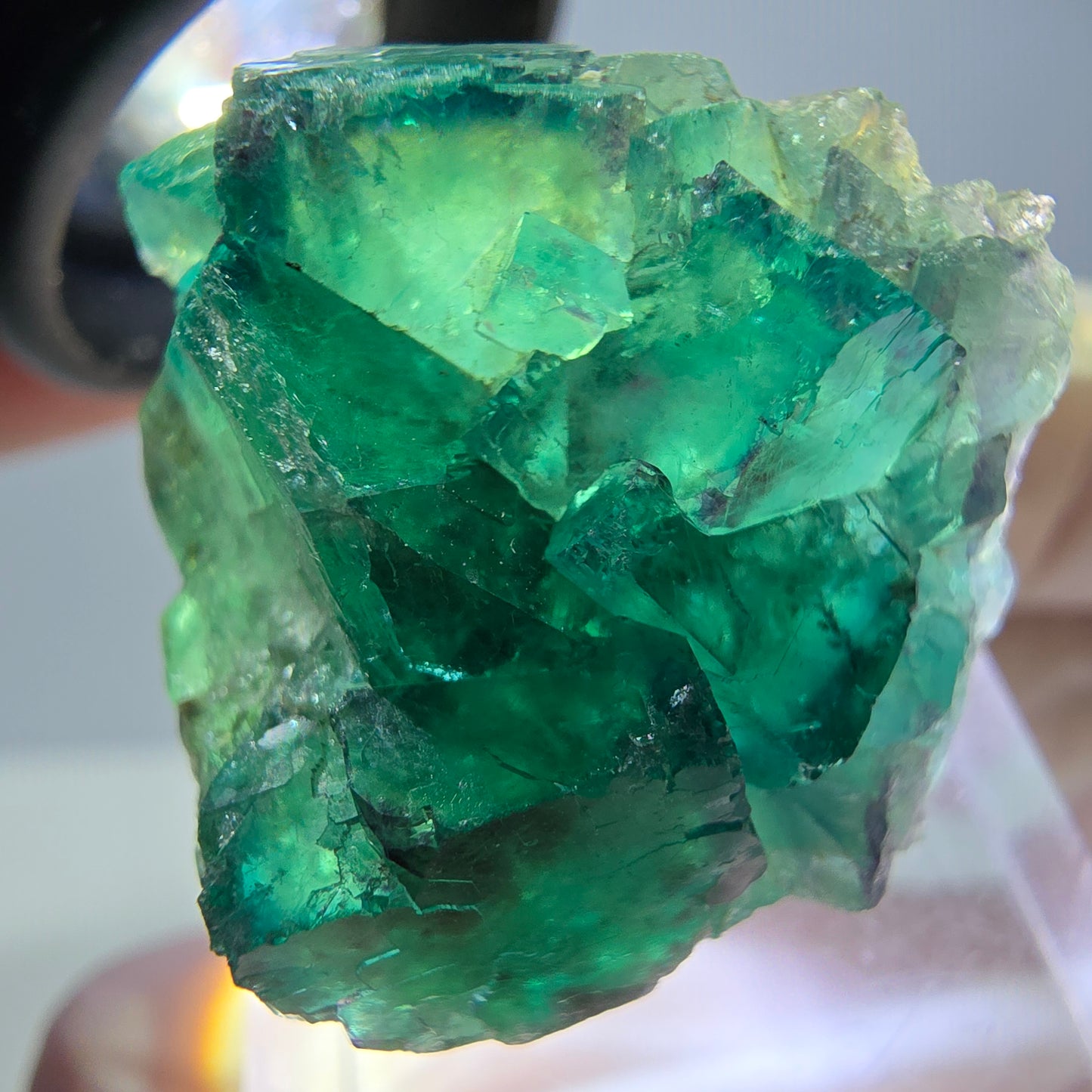 Phantom Fluorit Würfel Stufe, grün parkettiert Okorusu, Namibia 27*27*17mm
