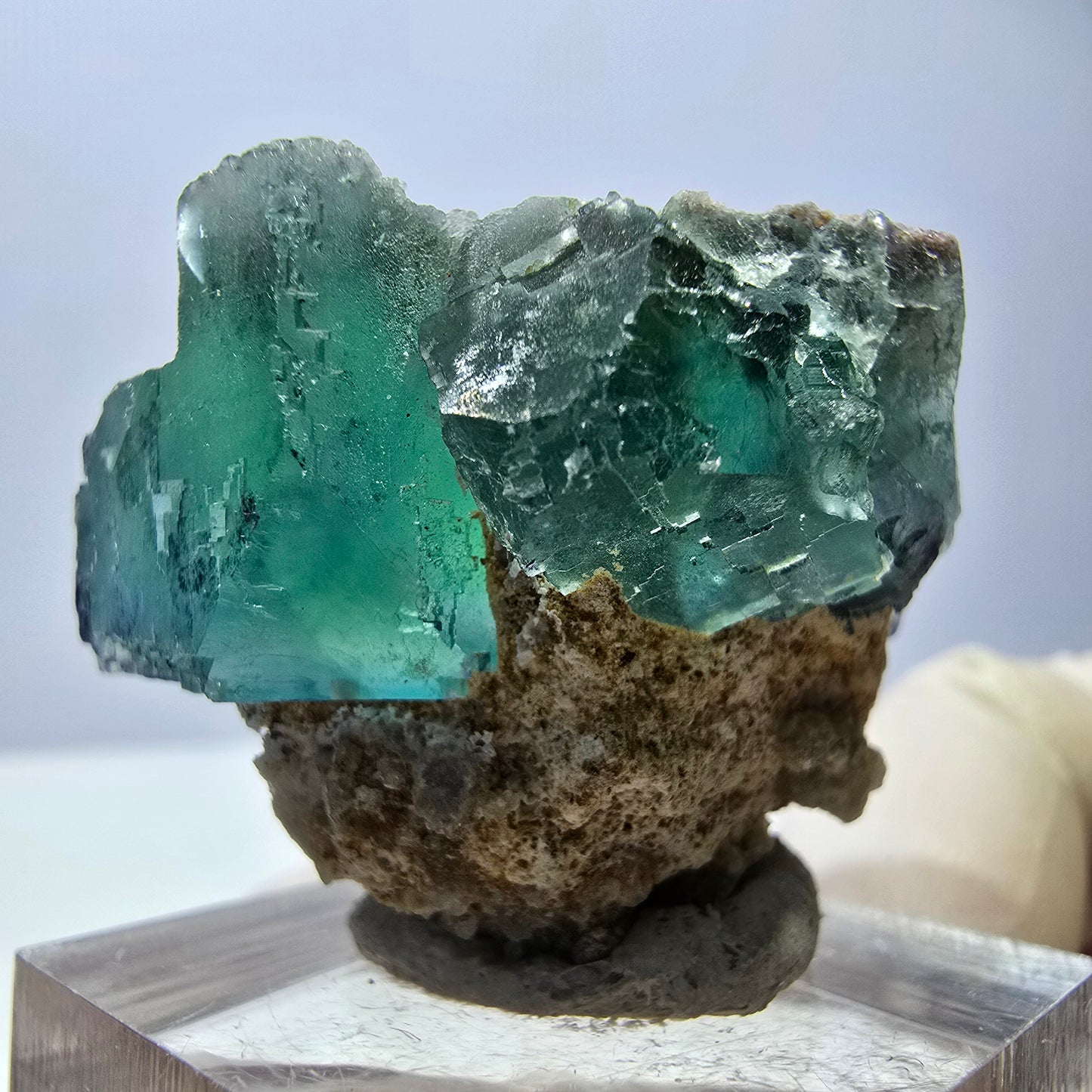 Spécimen de cube de fluorite fantôme, parquet vert Okorusu, Namibie 34*29*28 mm