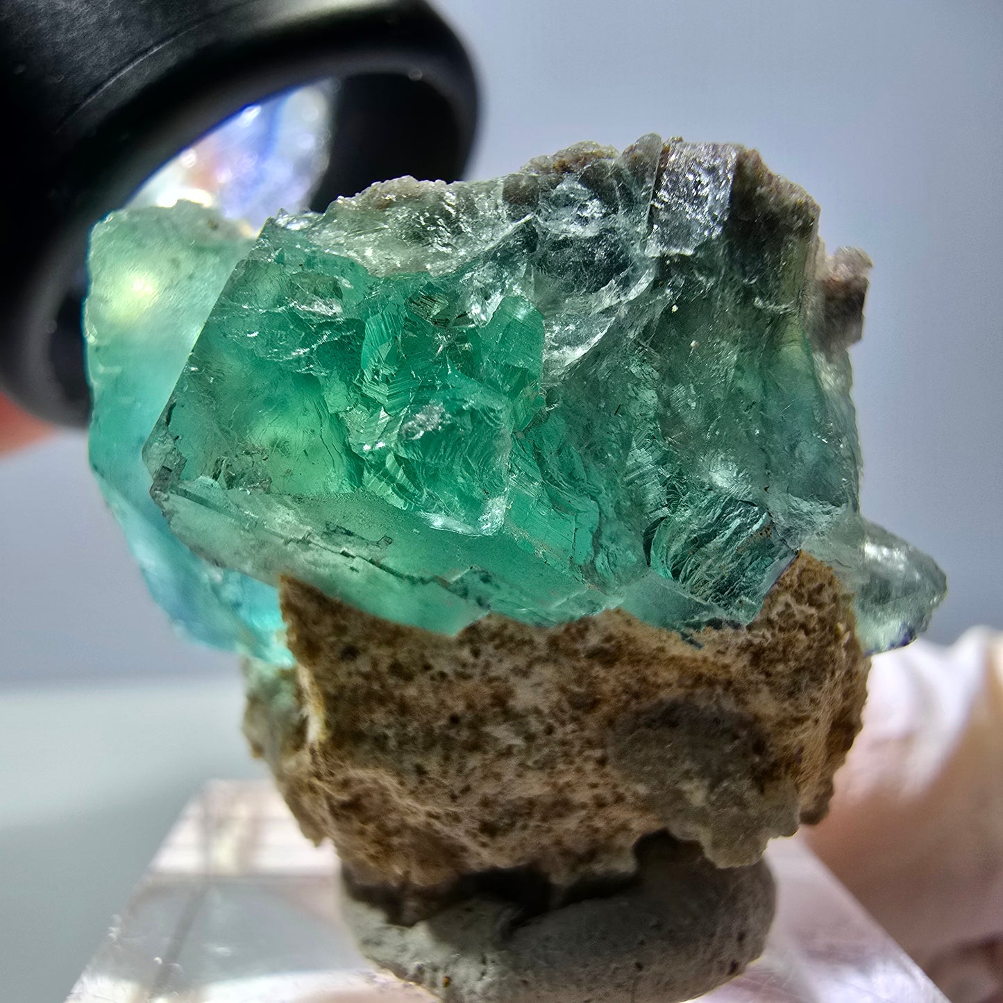 Spécimen de cube de fluorite fantôme, parquet vert Okorusu, Namibie 34*29*28 mm