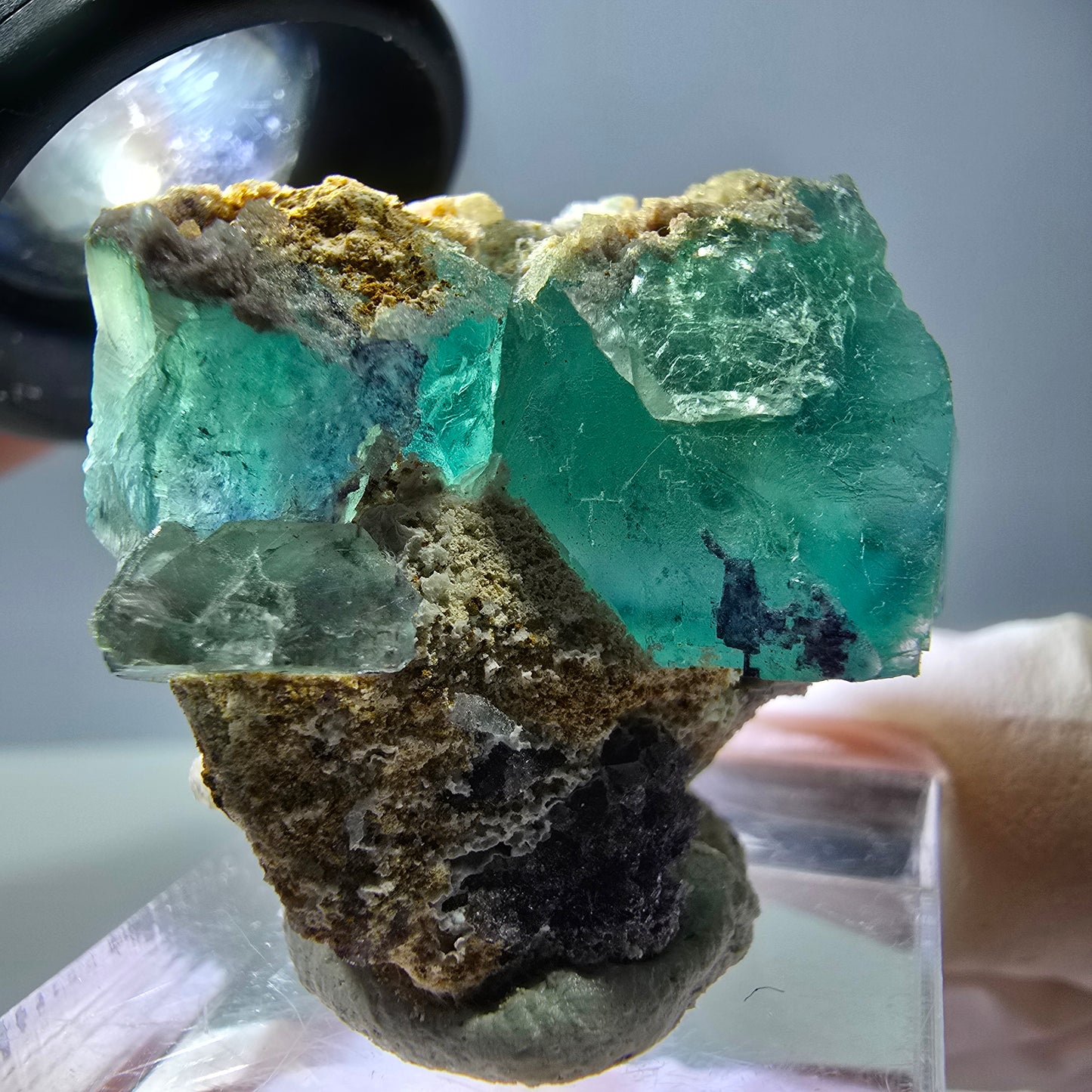 Spécimen de cube de fluorite fantôme, parquet vert Okorusu, Namibie 34*29*28 mm