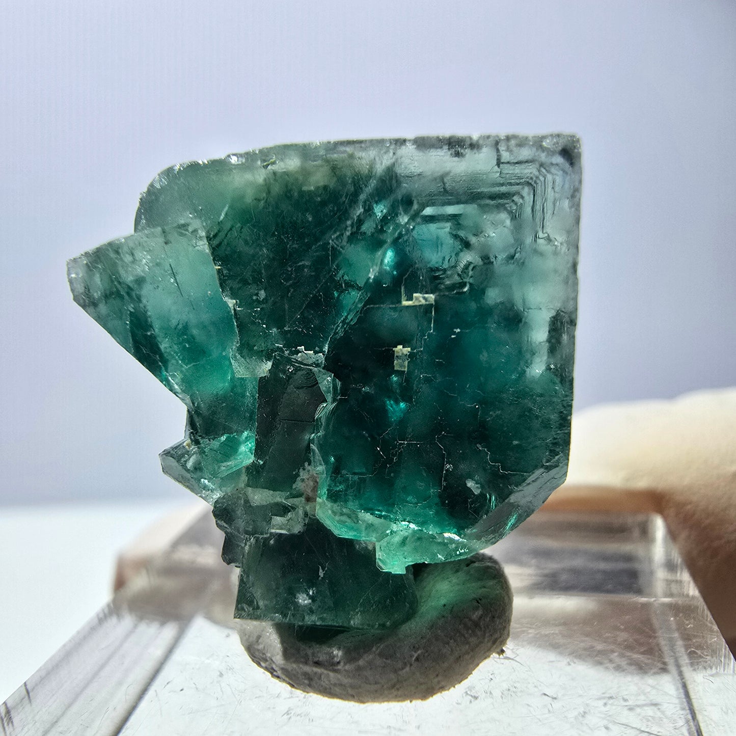 Phantom Fluorit Würfel Stufe, grün parkettiert Okorusu, Namibia 21*21*13mm