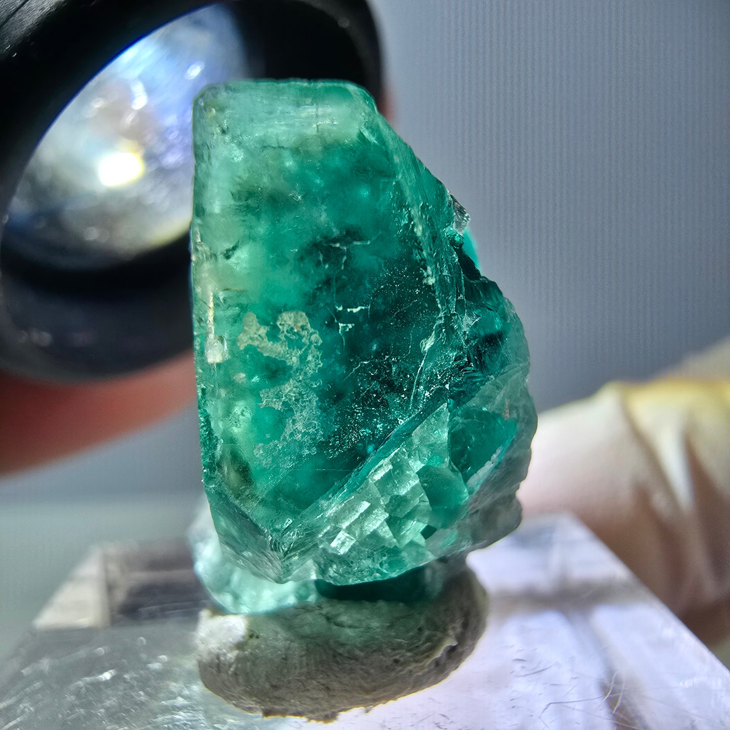 Phantom Fluorit Würfel Stufe, grün parkettiert Okorusu, Namibia 21*21*13mm