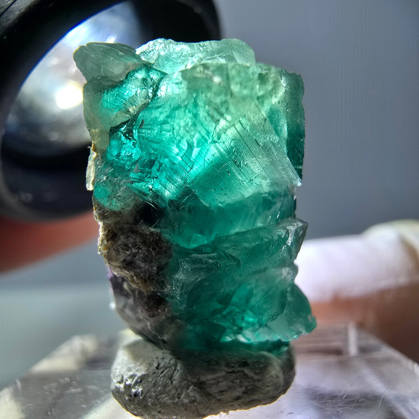 Phantom Fluorit Würfel Stufe, grün parkettiert Okorusu, Namibia 21*21*13mm