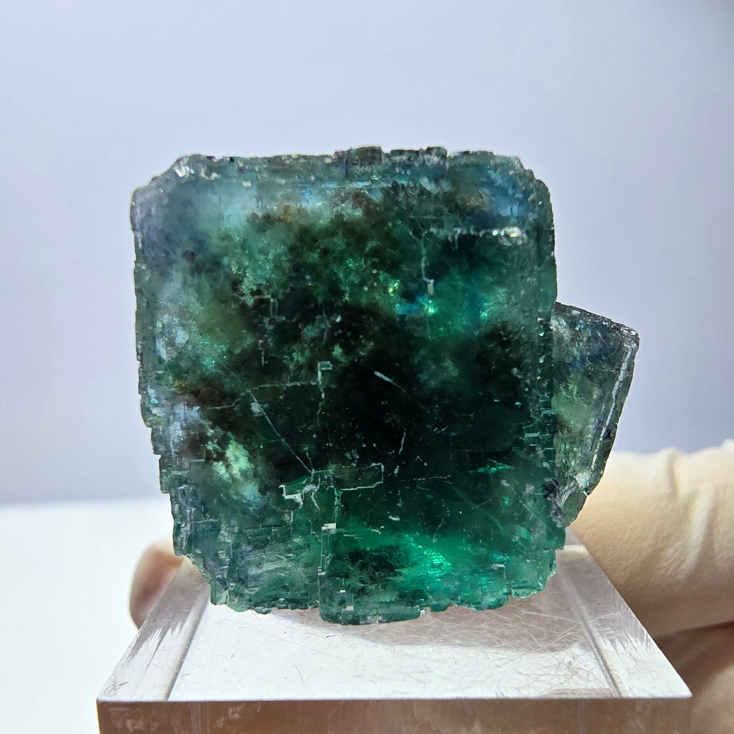 Phantom Fluorit Würfel Stufe, grün parkettiert Okorusu, Namibia 30*24*23mm