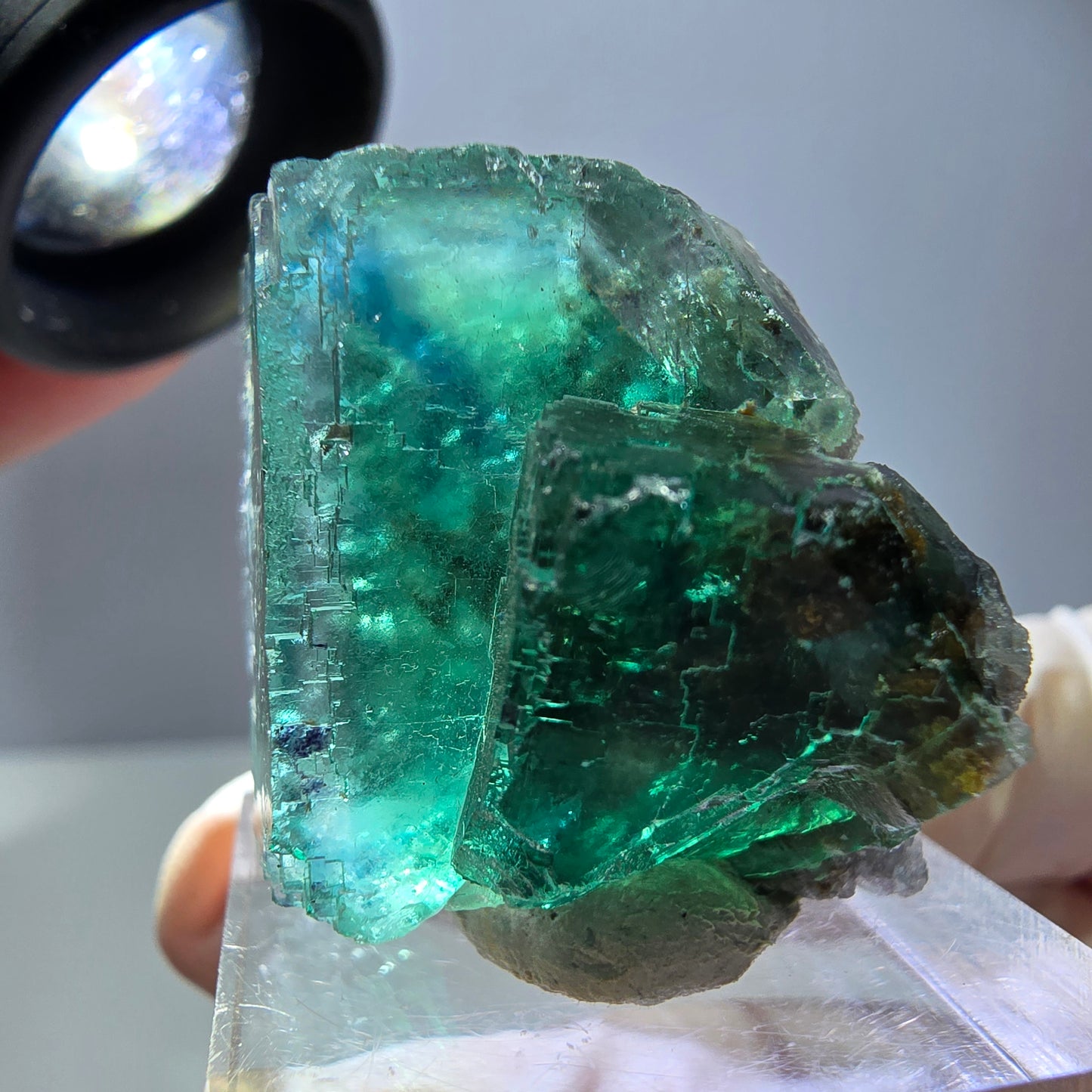 Phantom Fluorit Würfel Stufe, grün parkettiert Okorusu, Namibia 30*24*23mm