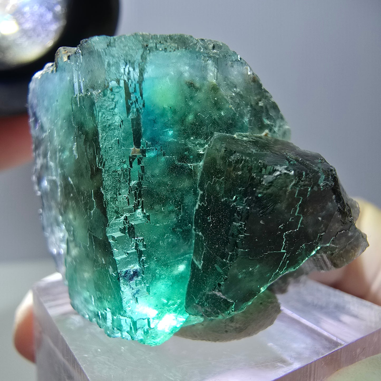 Phantom Fluorit Würfel Stufe, grün parkettiert Okorusu, Namibia 30*24*23mm
