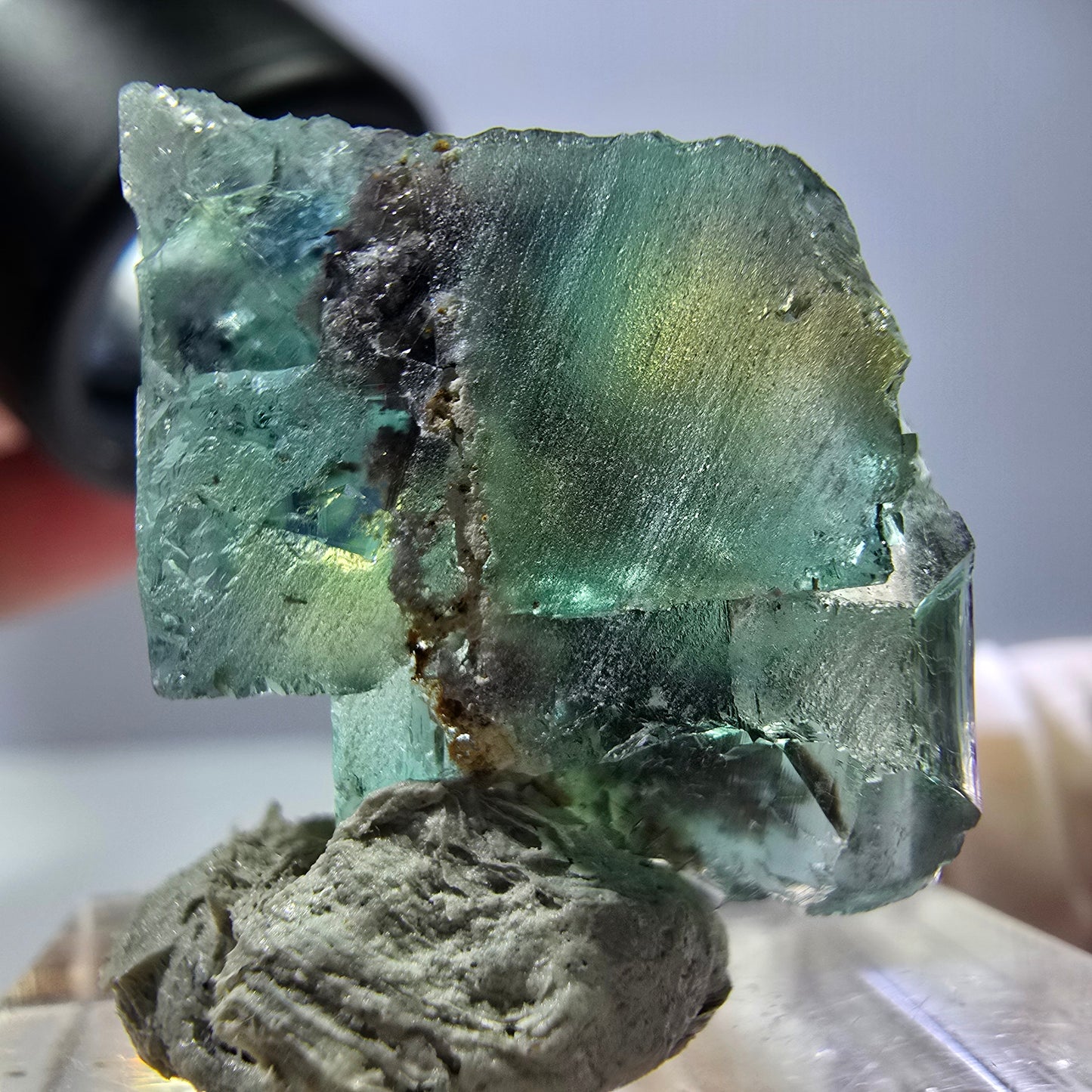 Spécimen de cube de fluorite fantôme, parquet vert Okorusu, Namibie 22 x 19 x 16 mm