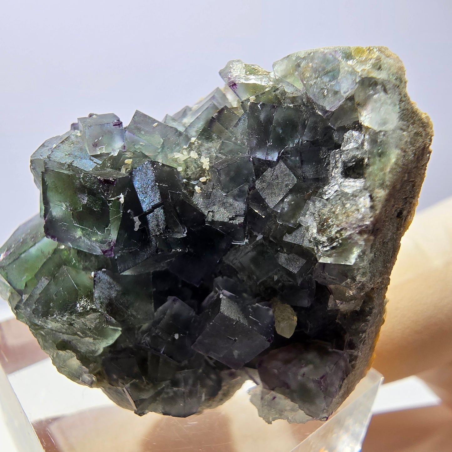 Spécimen de cube de fluorite fantôme, vert violet, Okorusu, Namibie, 35 x 28 x 22 mm