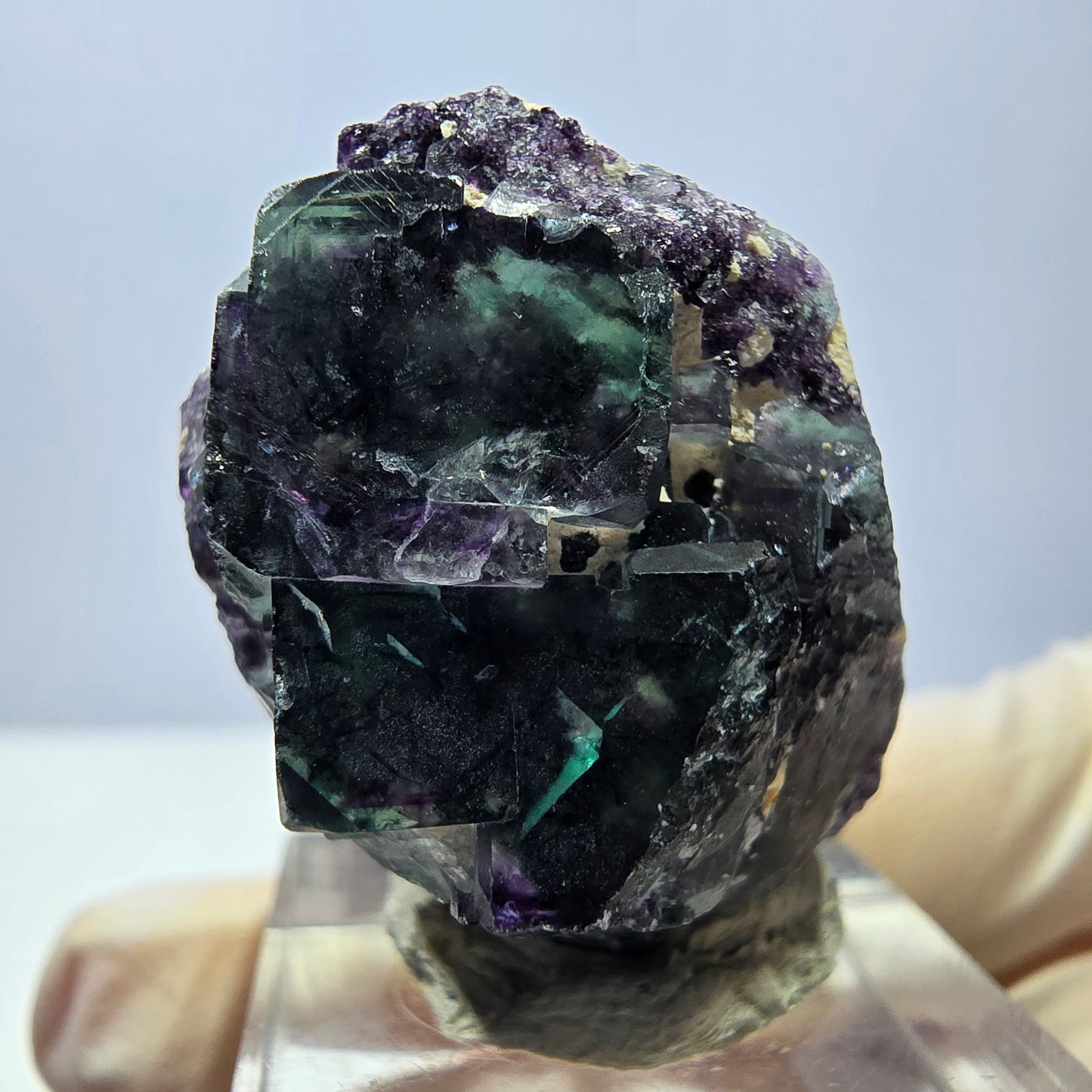 Phantom Fluorit Würfel Stufe, grün lila Okorusu, Namibia 34*24*17mm