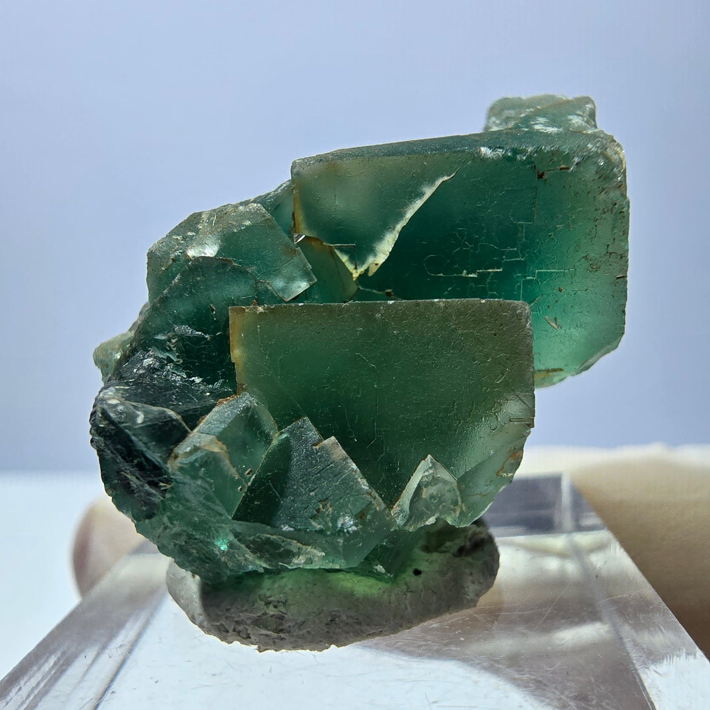 Spécimen de cube de fluorite fantôme, vert violet, Okorusu, Namibie, 35 x 19 x 19 mm