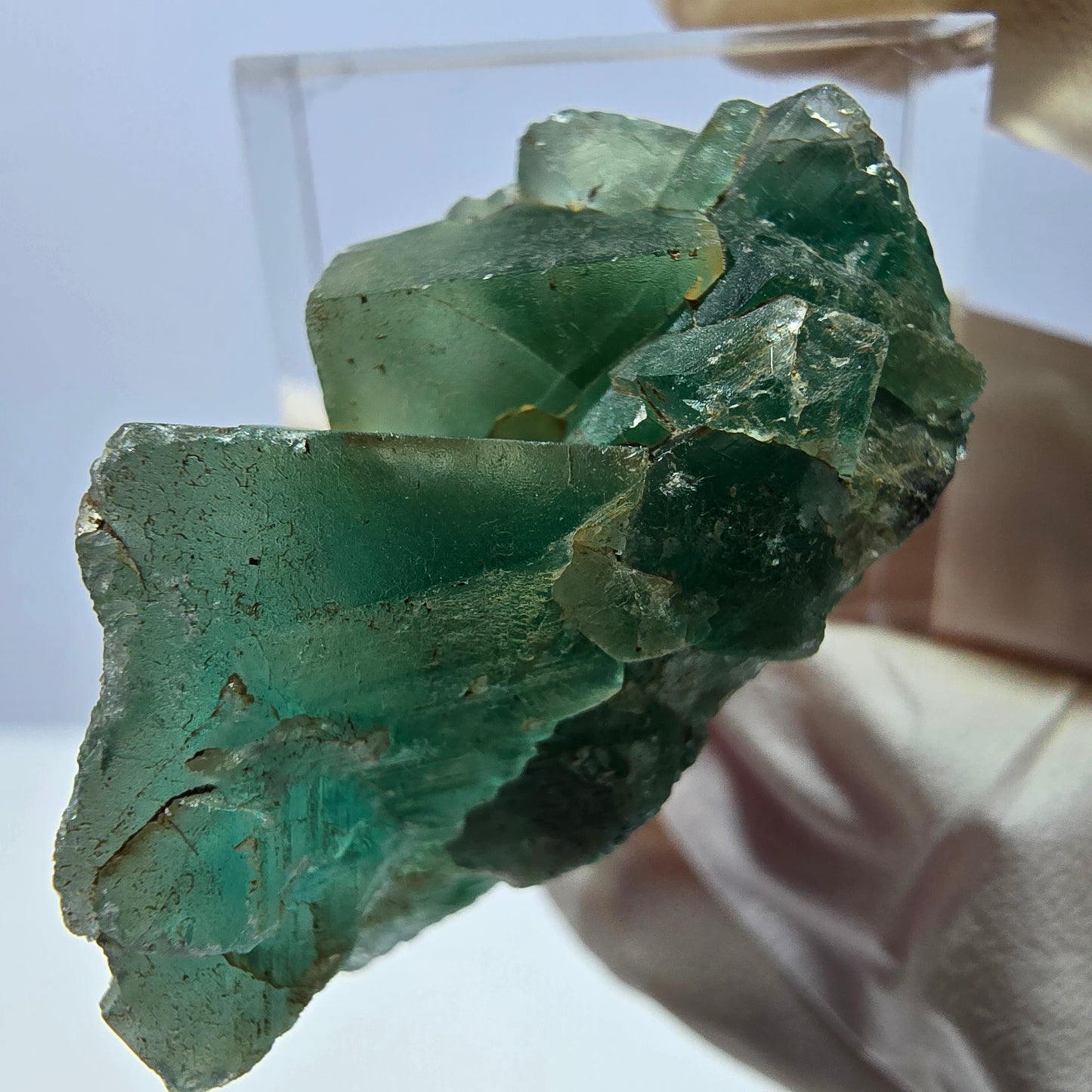 Spécimen de cube de fluorite fantôme, vert violet, Okorusu, Namibie, 35 x 19 x 19 mm