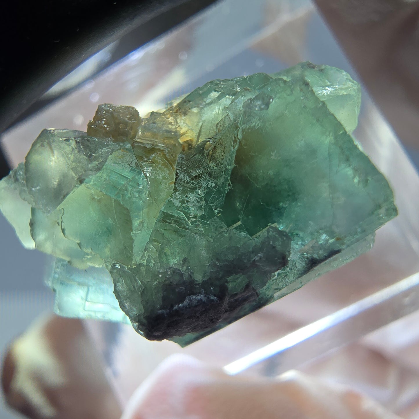 Phantom Fluorit Würfel Stufe, grün lila Okorusu, Namibia 23*14*12mm