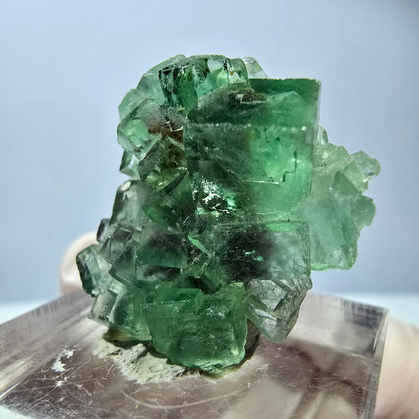 Spécimen de cube de fluorite fantôme, vert violet, Okorusu, Namibie, 25 x 24 x 15 mm