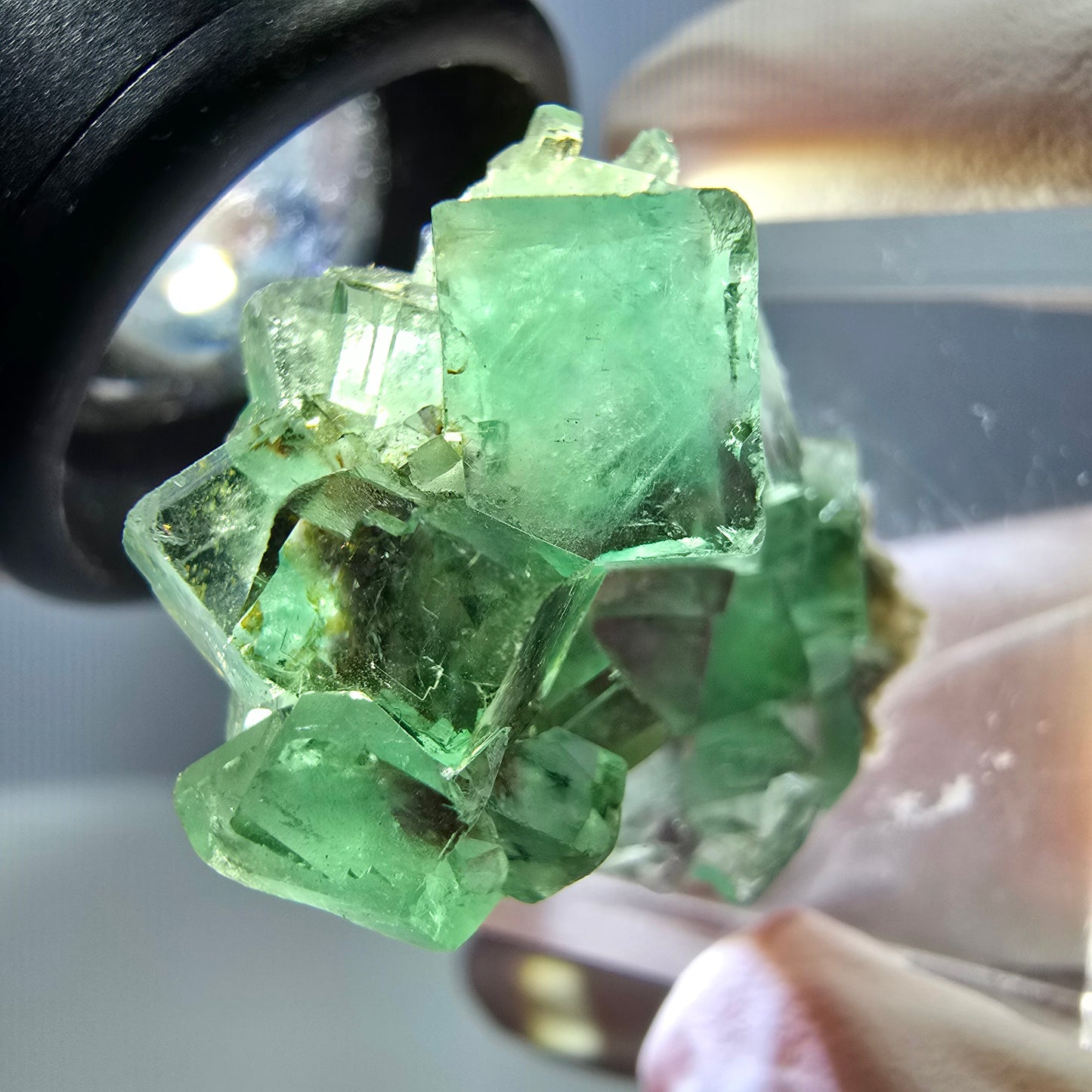 Spécimen de cube de fluorite fantôme, vert violet, Okorusu, Namibie, 25 x 24 x 15 mm