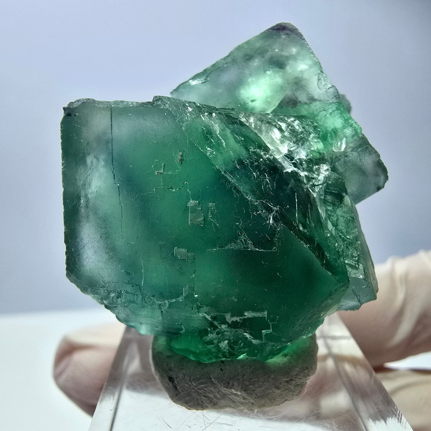 Seltene Phantom Fluorit Würfel Stufe, grün Okorusu, Namibia 40*28*20mm