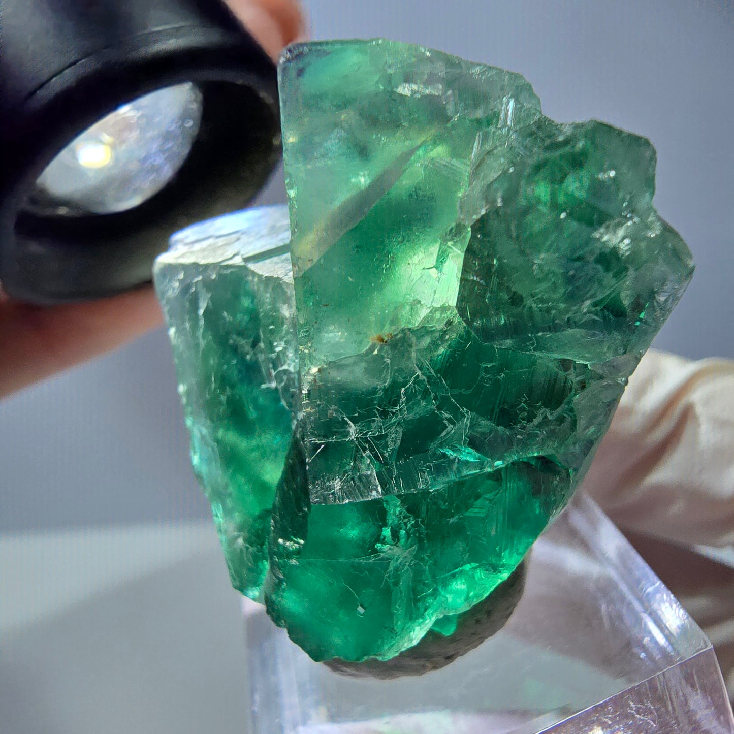 Seltene Phantom Fluorit Würfel Stufe, grün Okorusu, Namibia 40*28*20mm