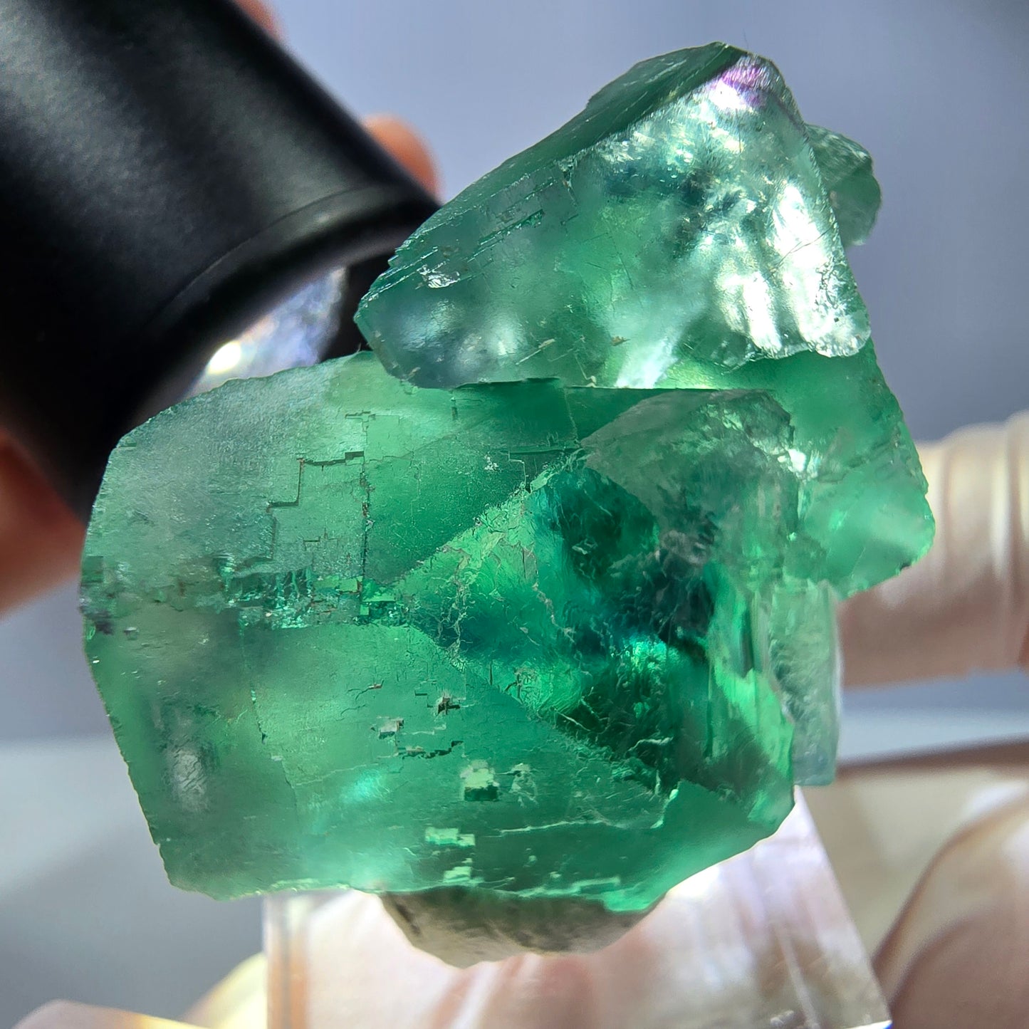 Seltene Phantom Fluorit Würfel Stufe, grün Okorusu, Namibia 40*28*20mm