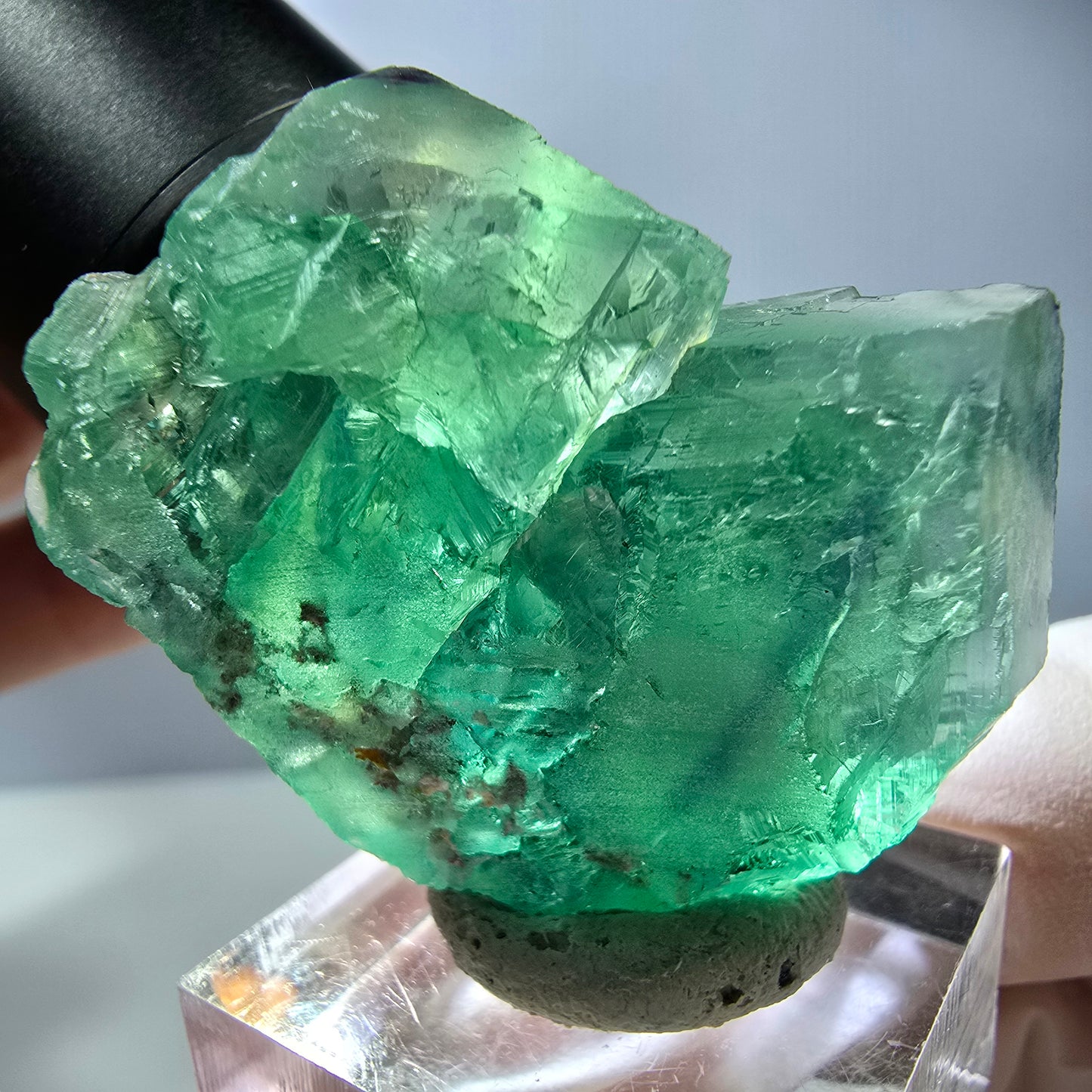 Seltene Phantom Fluorit Würfel Stufe, grün Okorusu, Namibia 40*28*20mm