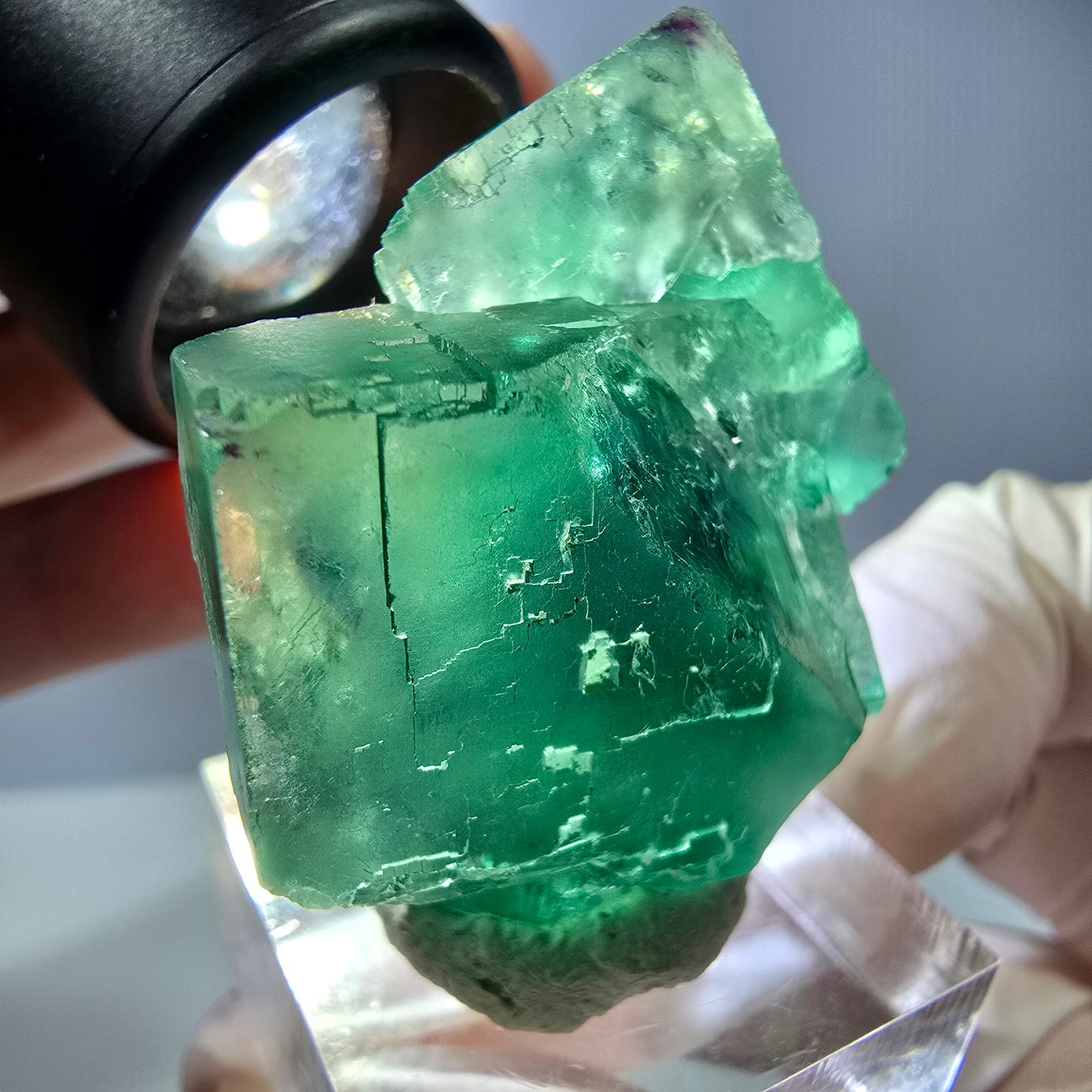 Seltene Phantom Fluorit Würfel Stufe, grün Okorusu, Namibia 40*28*20mm
