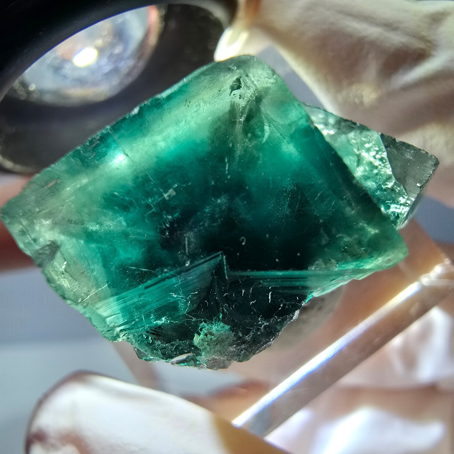 Seltene Phantom Fluorit Würfel Stufe, grün Okorusu, Namibia 23*19*15mm