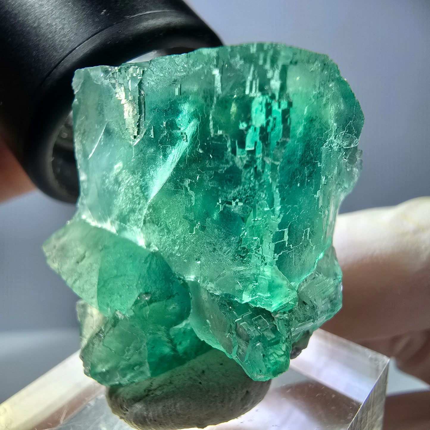Rare spécimen de cube de fluorite fantôme, vert Okorusu, Namibie 34 x 29 x 21 mm