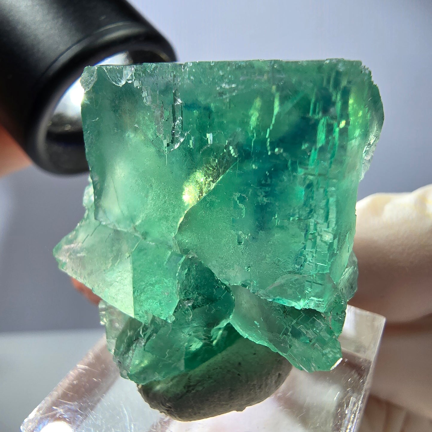Rare spécimen de cube de fluorite fantôme, vert Okorusu, Namibie 34 x 29 x 21 mm