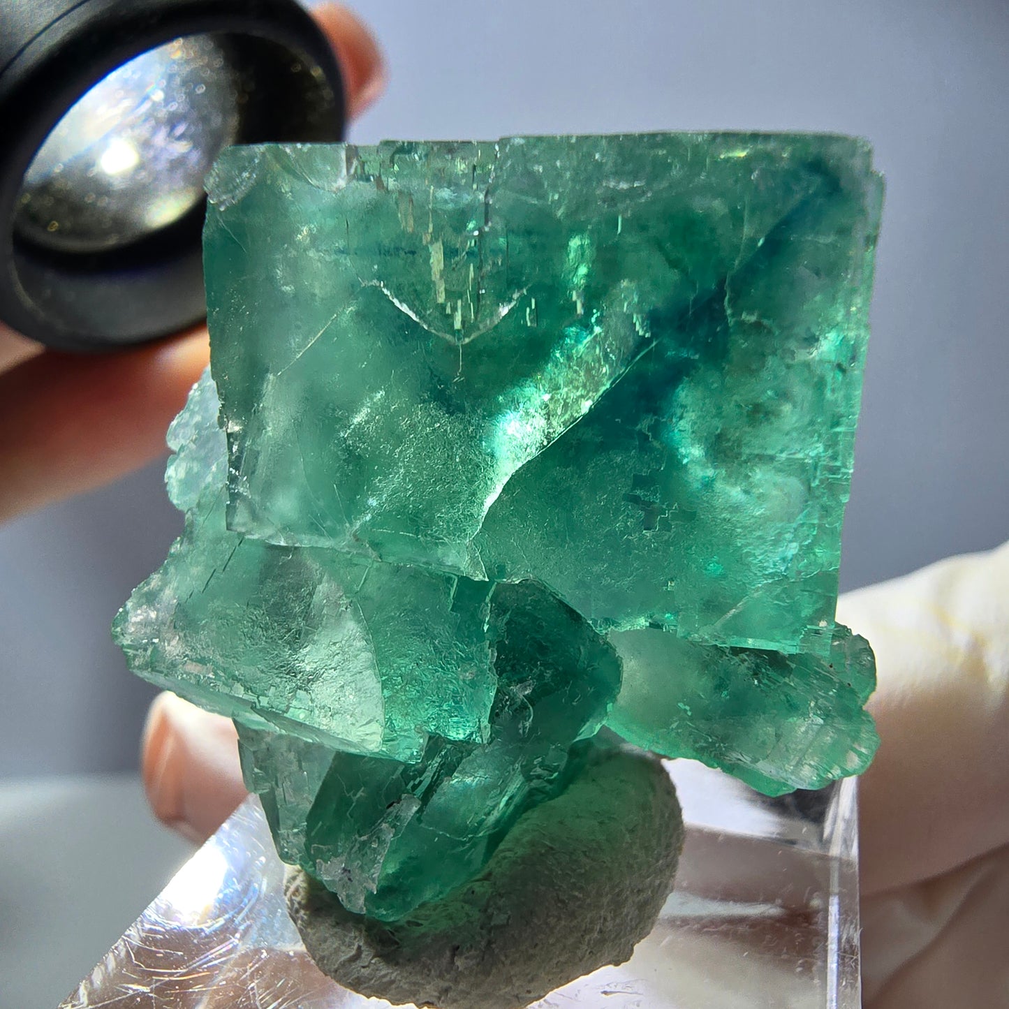 Rare spécimen de cube de fluorite fantôme, vert Okorusu, Namibie 34 x 29 x 21 mm