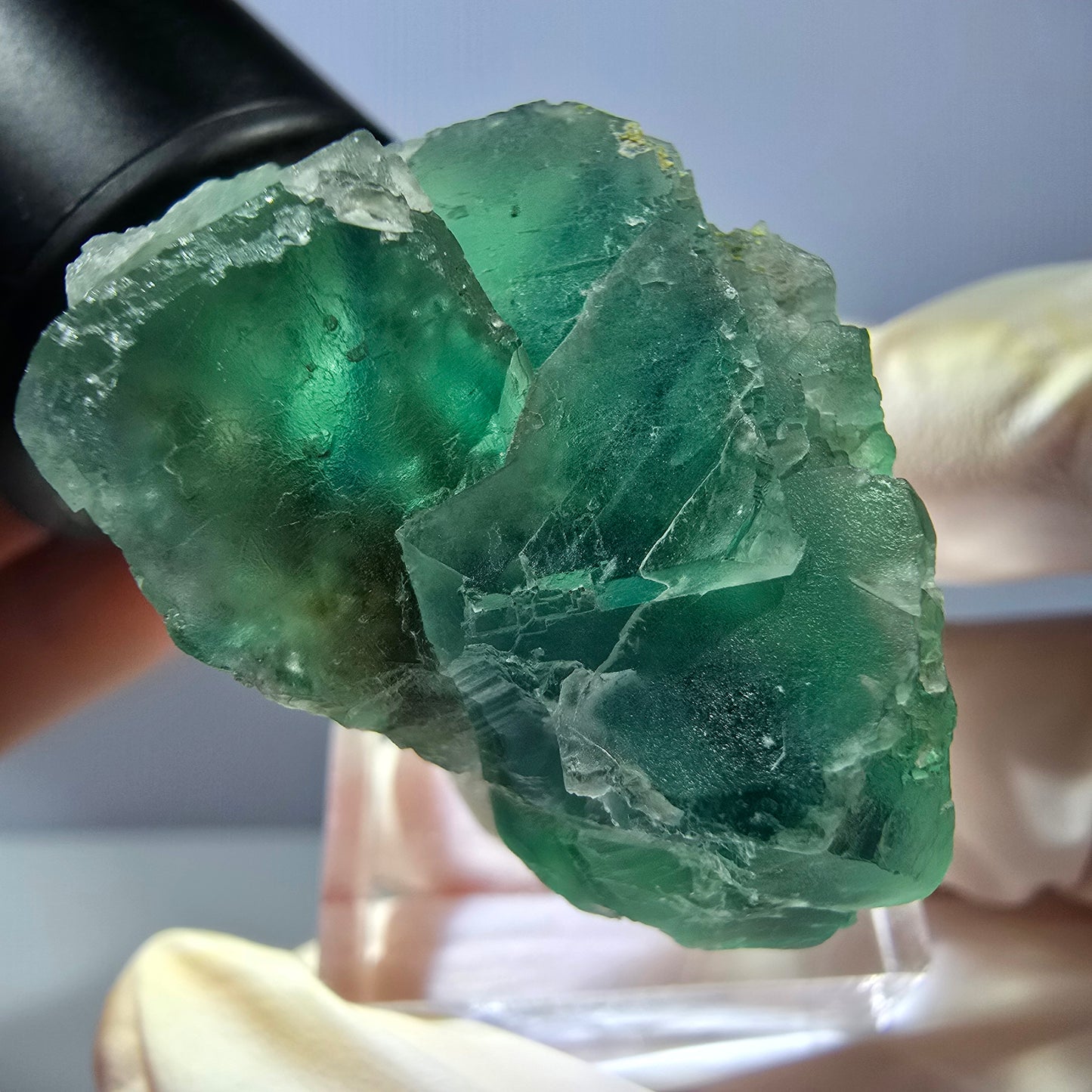 Seltene Phantom Fluorit Würfel Stufe, grün Okorusu, Namibia 41*37+21mm